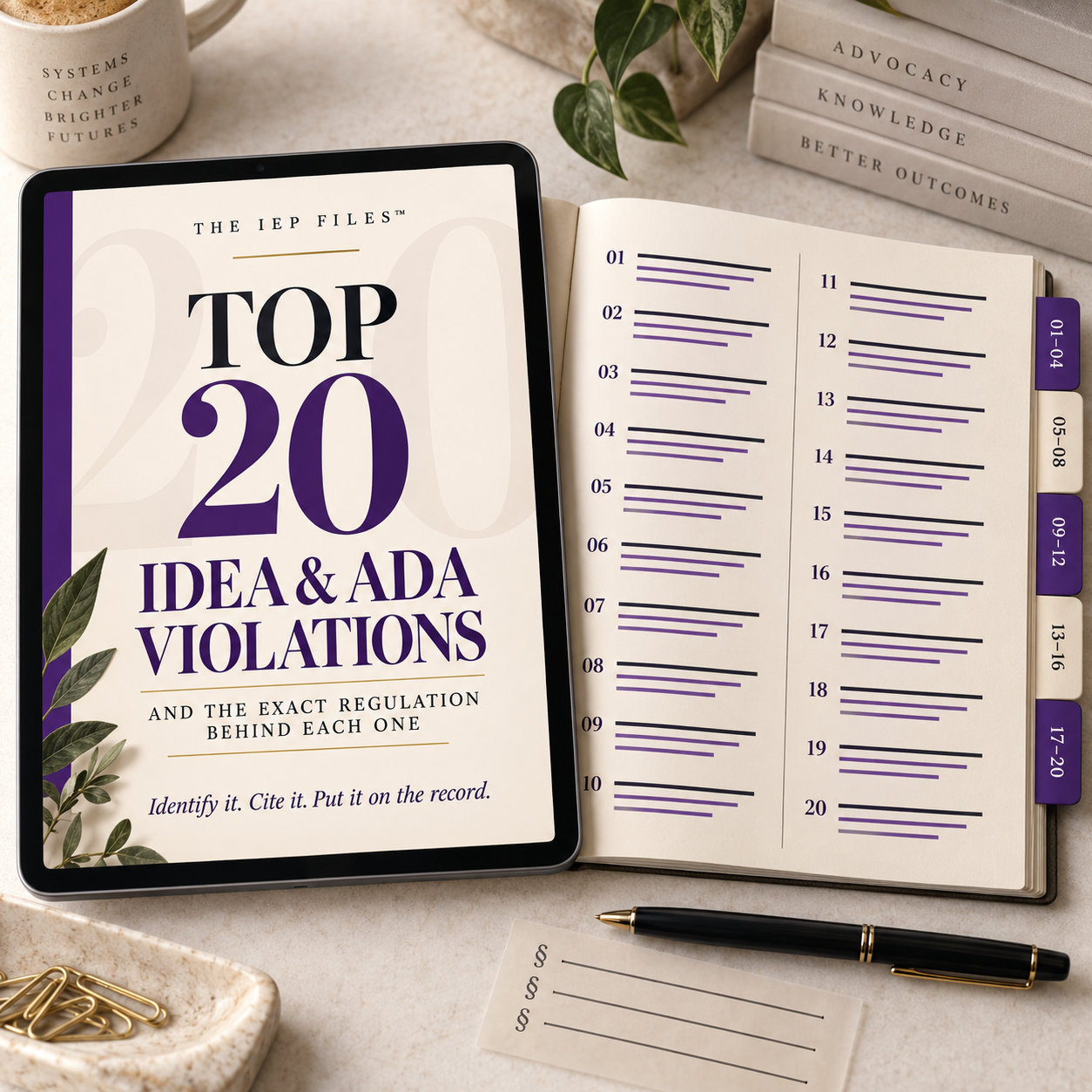 Top 20 IDEA & ADA Violations — And the Exact Regulation Behind Each One