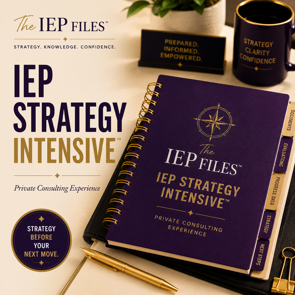 IEP Strategy Intensive™