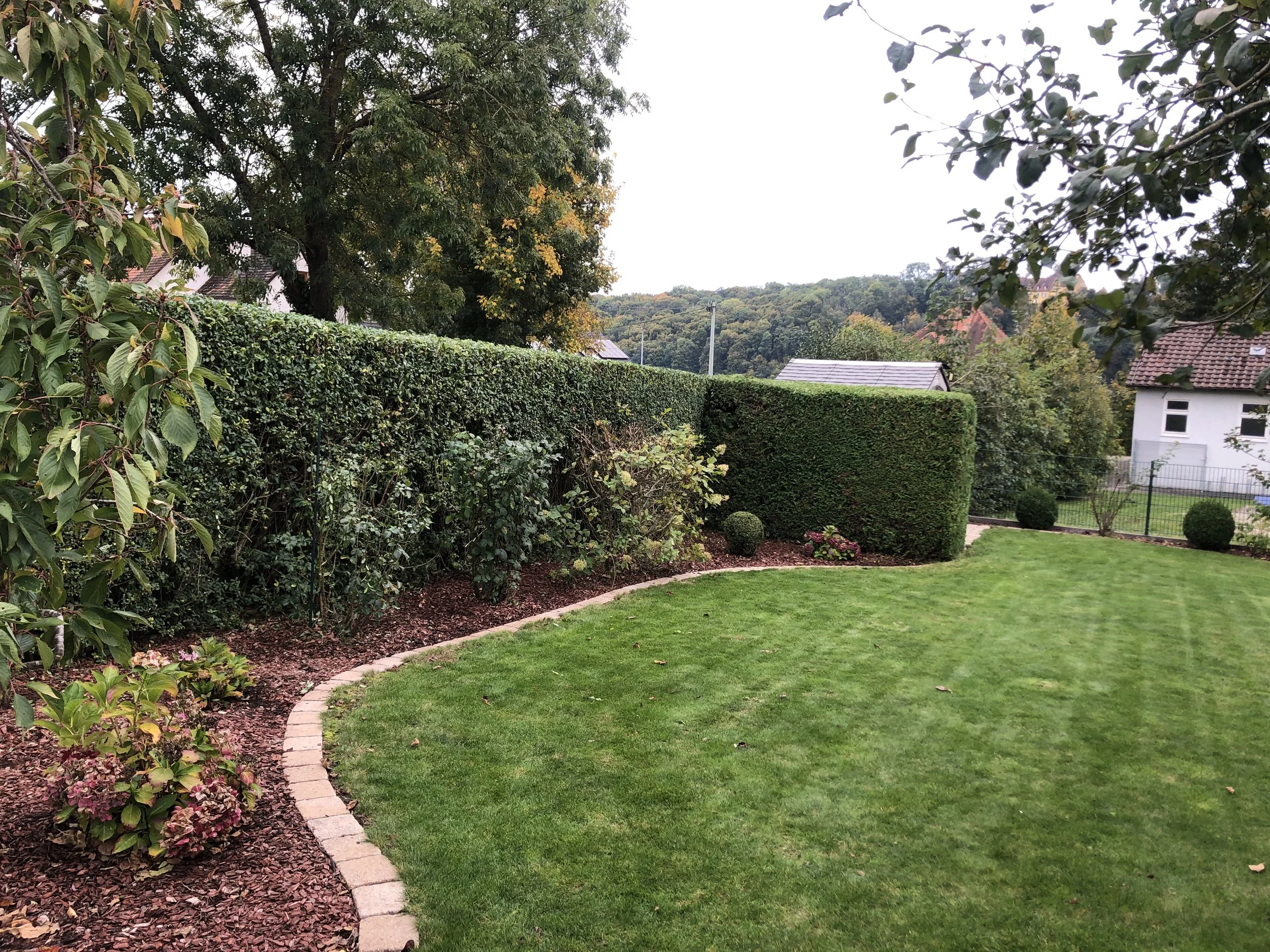 Name Eberhard Krebs.jpeg