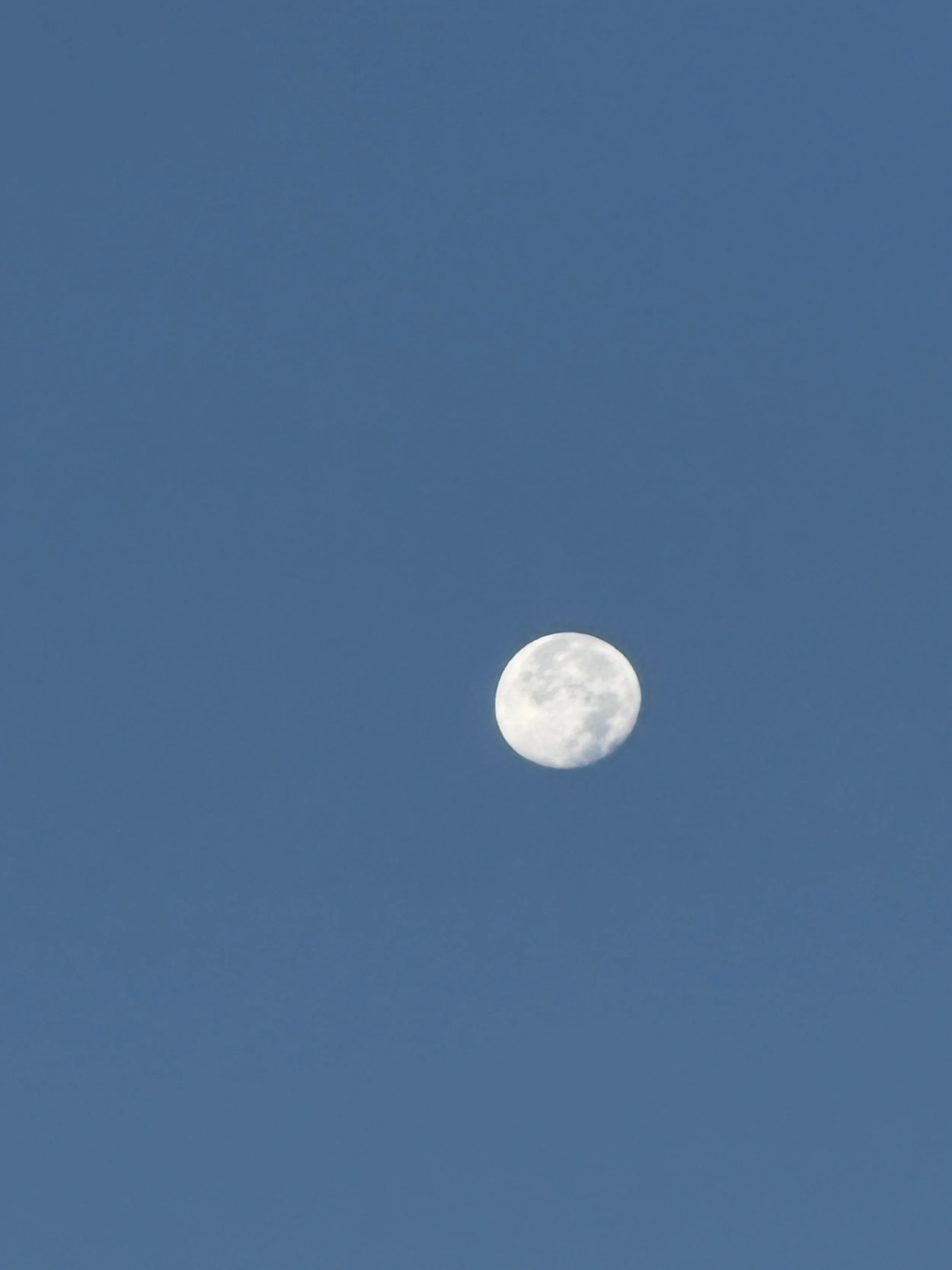IMG_8839.jpeg
