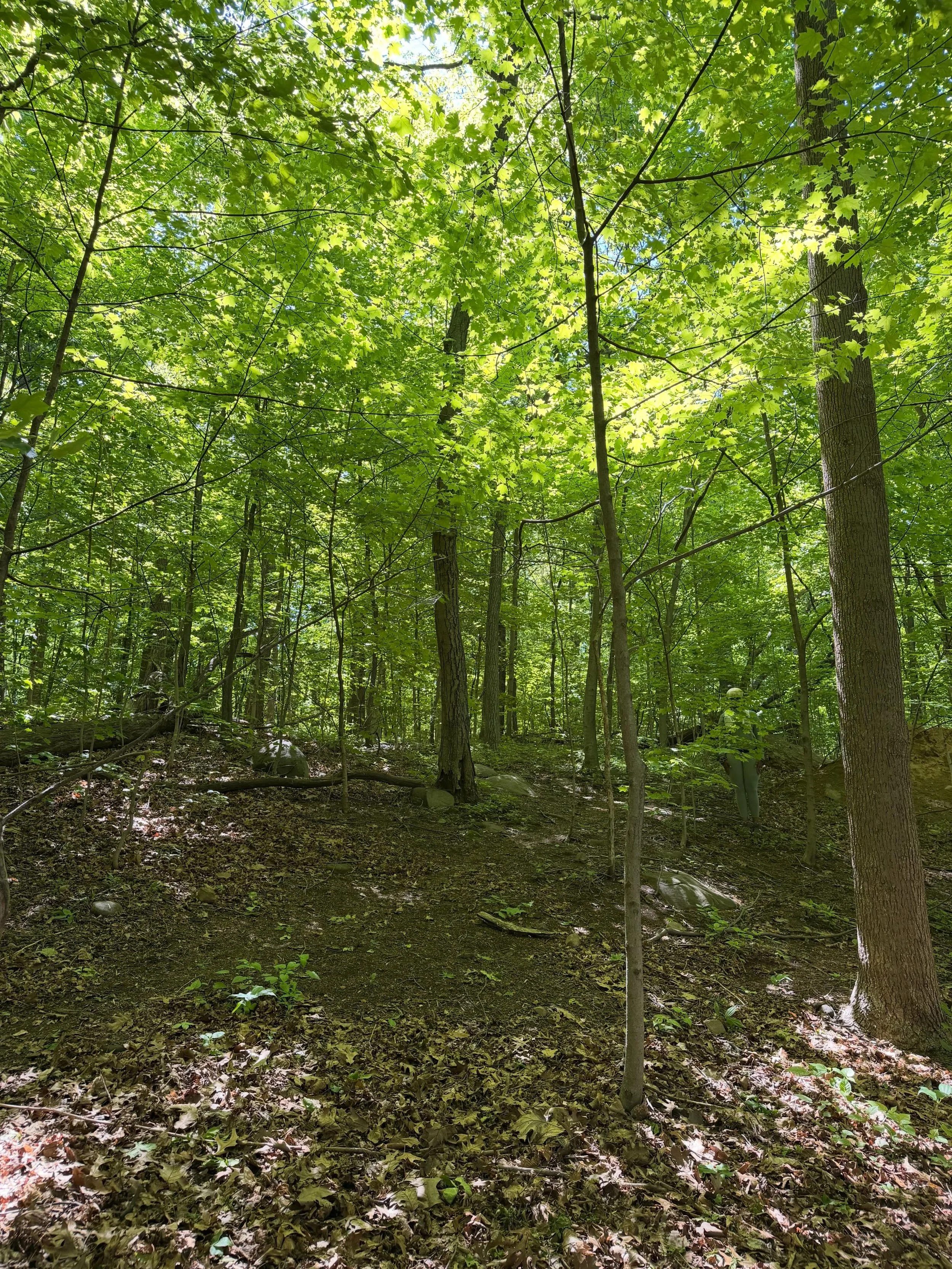 Can you find Khay ?🌿👀

A little reminder to blend in, touch some grass, and have fun once in a while 🤍

#khaykare #westchesterwellness #youthwellness #takekare #communitywellness