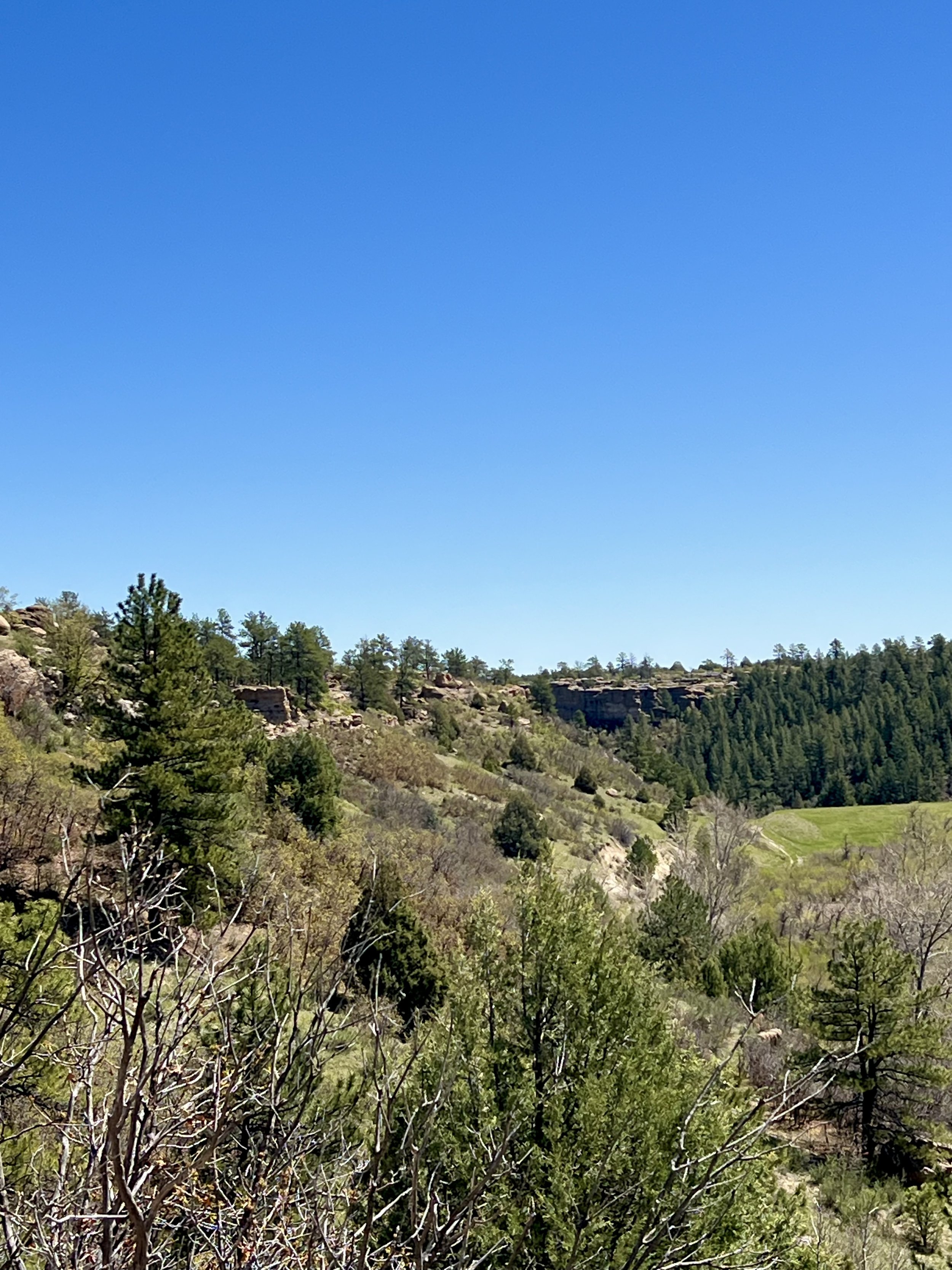 View of rockfall and cliff edge