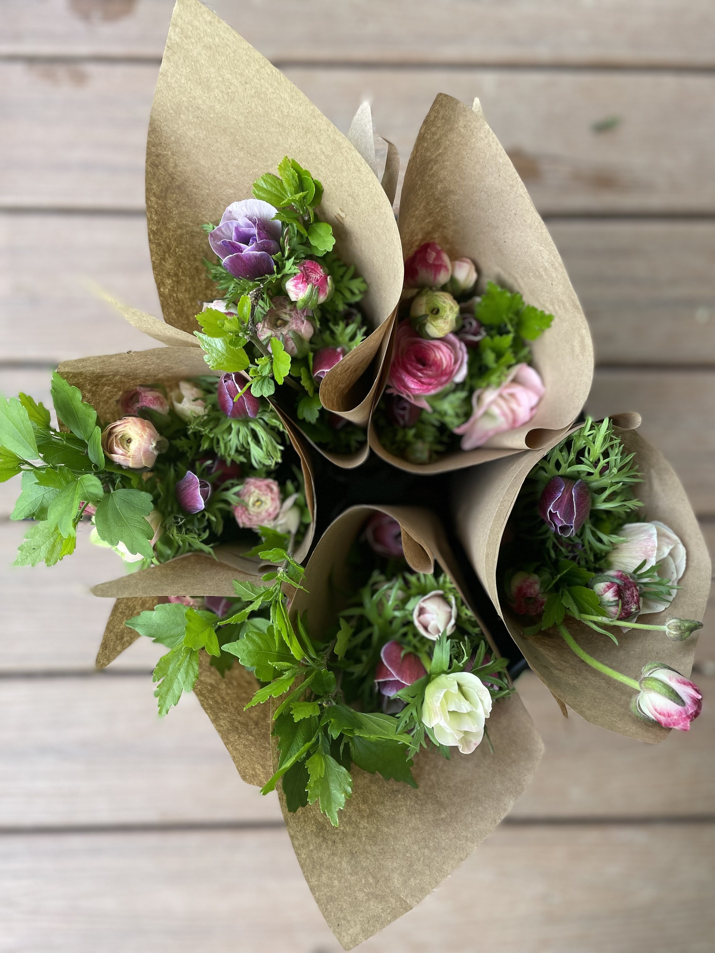 Spring CSA Subscription