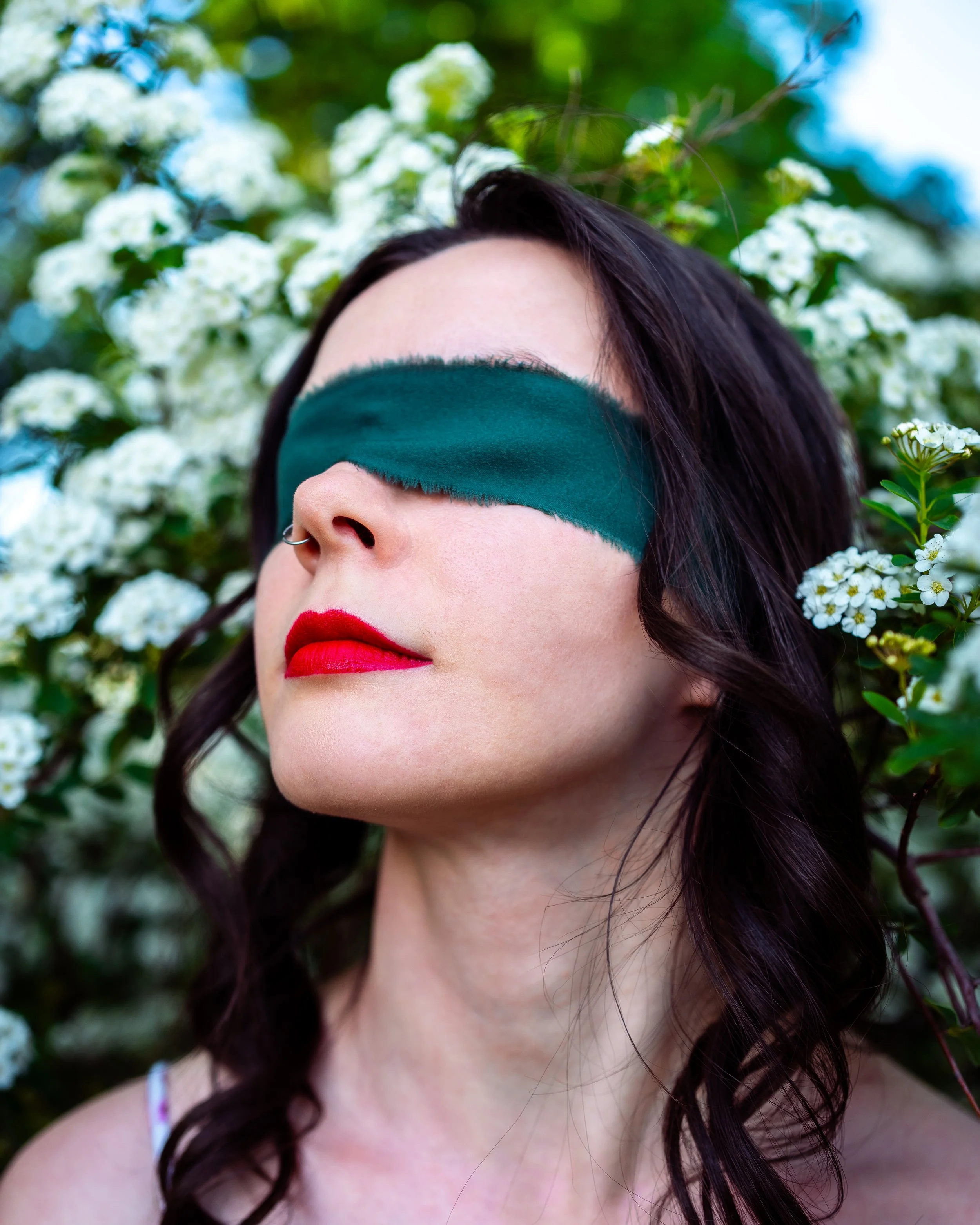 BlindfoldGardenTIFF (7 of 1).jpg