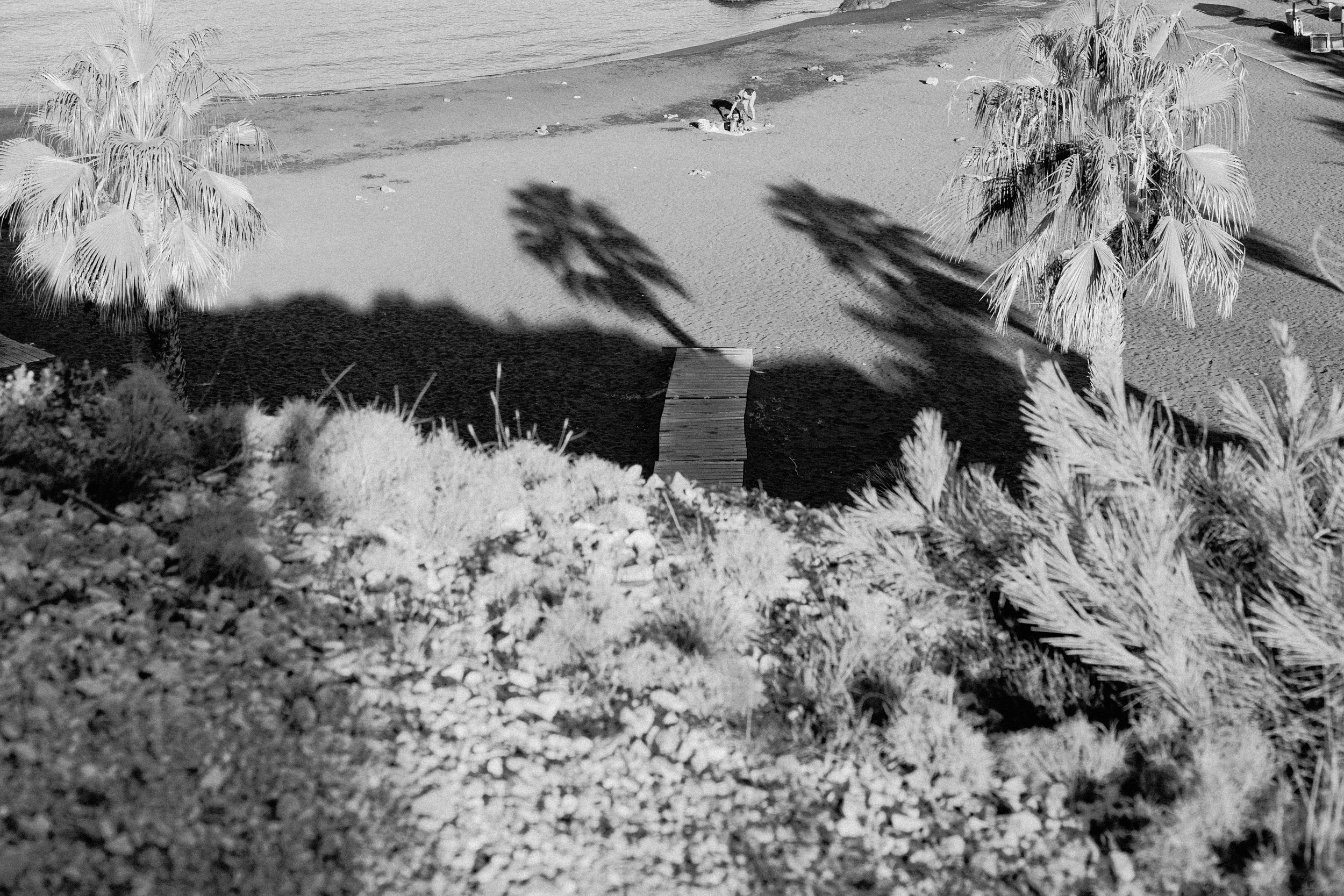 Black and white photo of a beach with palm trees, a wooden walkway, and two people sitting on the sand.