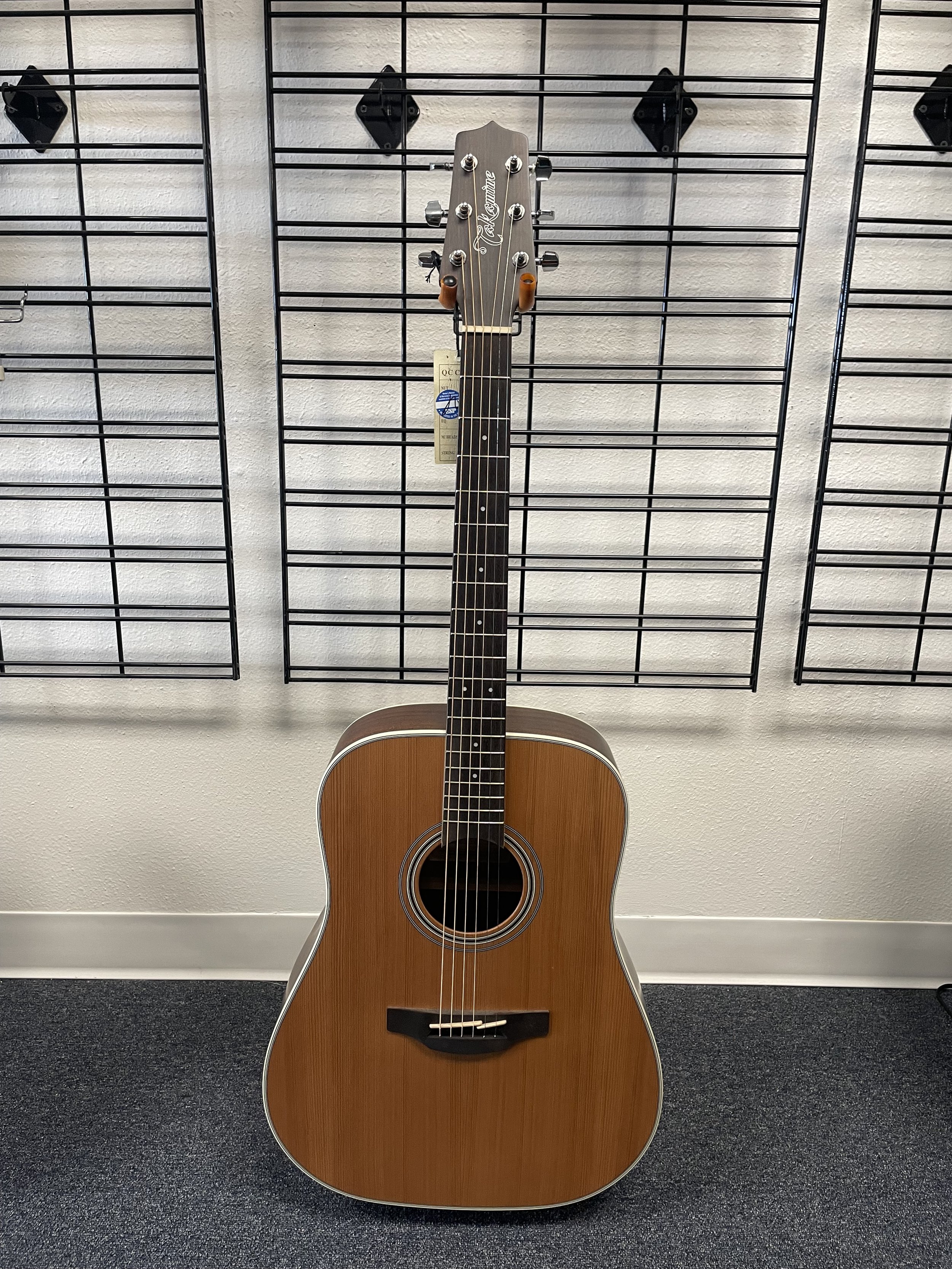 $400   Takamine GD20, Solid Cedar Top, Sapele Body, Satin Finish