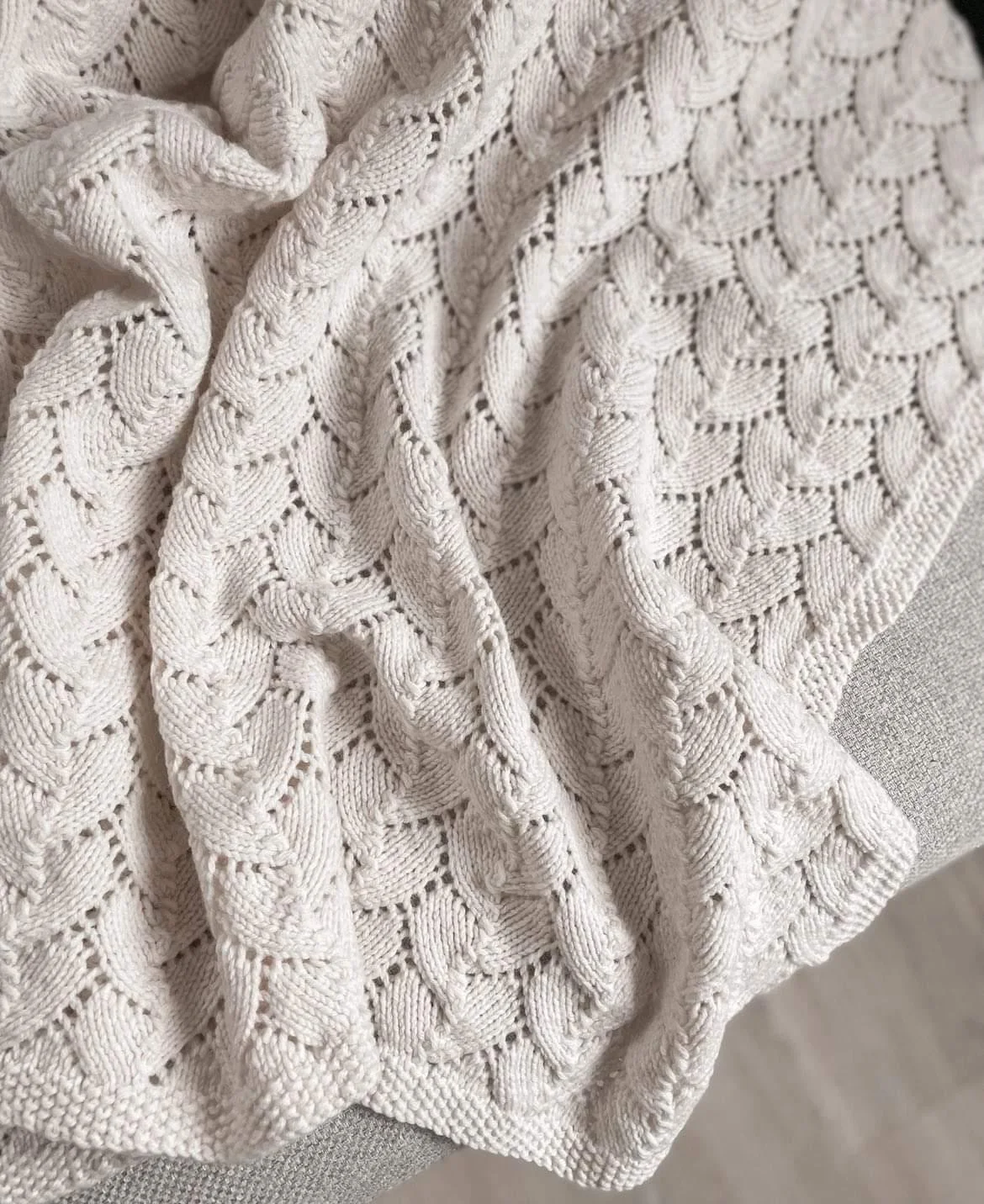 IMG_20220826_133259_763.jpg (Copy)