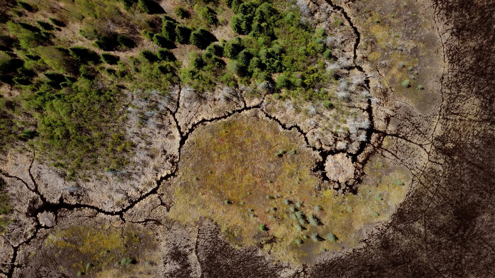 Aerial view of a dry, cracked landscape with sparse vegetation and some green trees on one side.