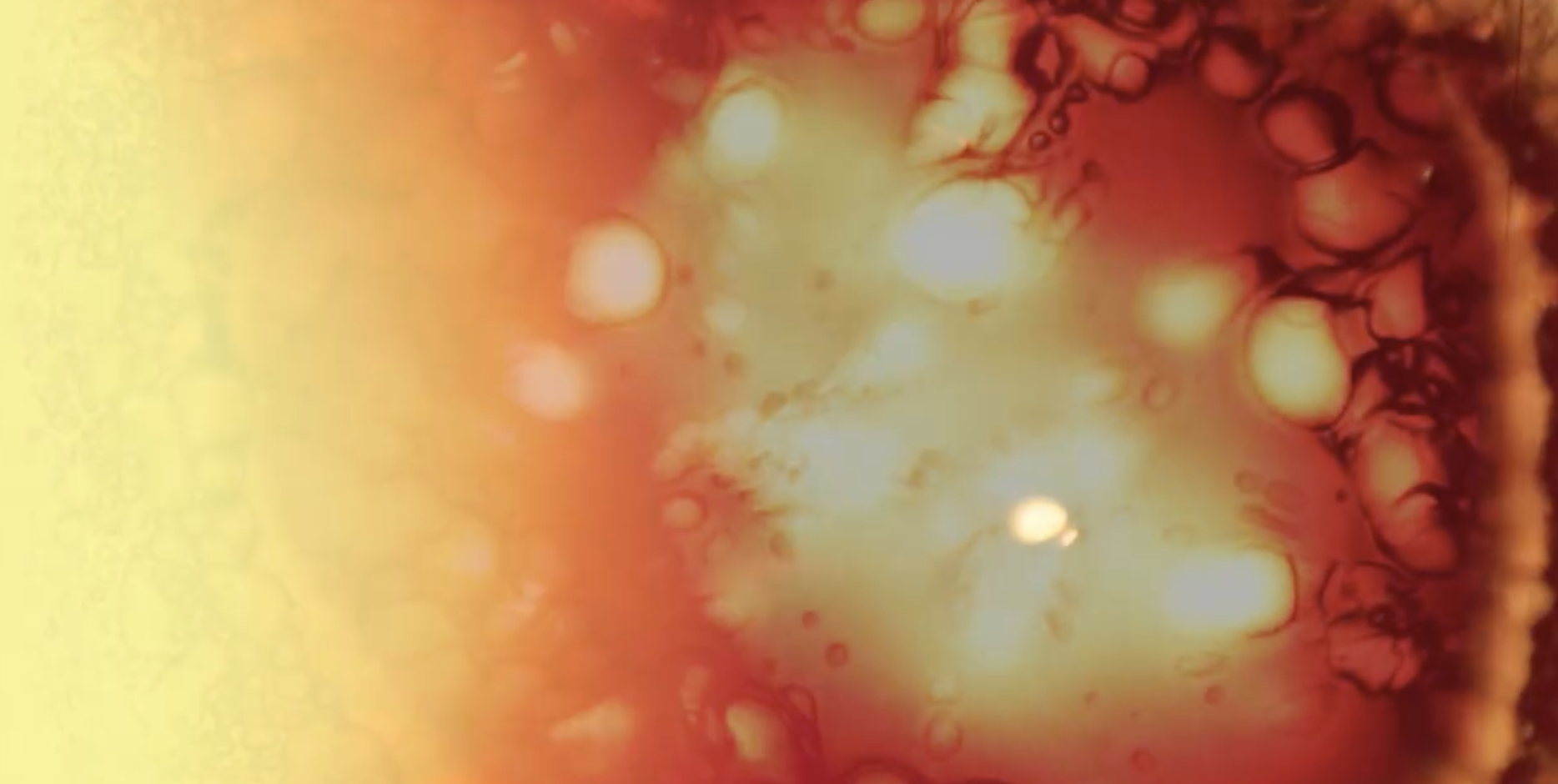 Close-up of orange, red, and yellow liquids with bubbles, possibly oil or other liquids mixing or reacting