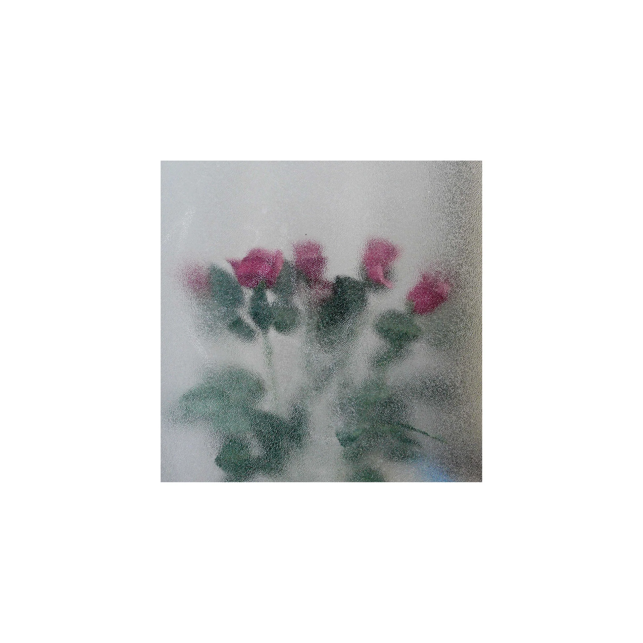 13x13_Roser 1 ci.jpg