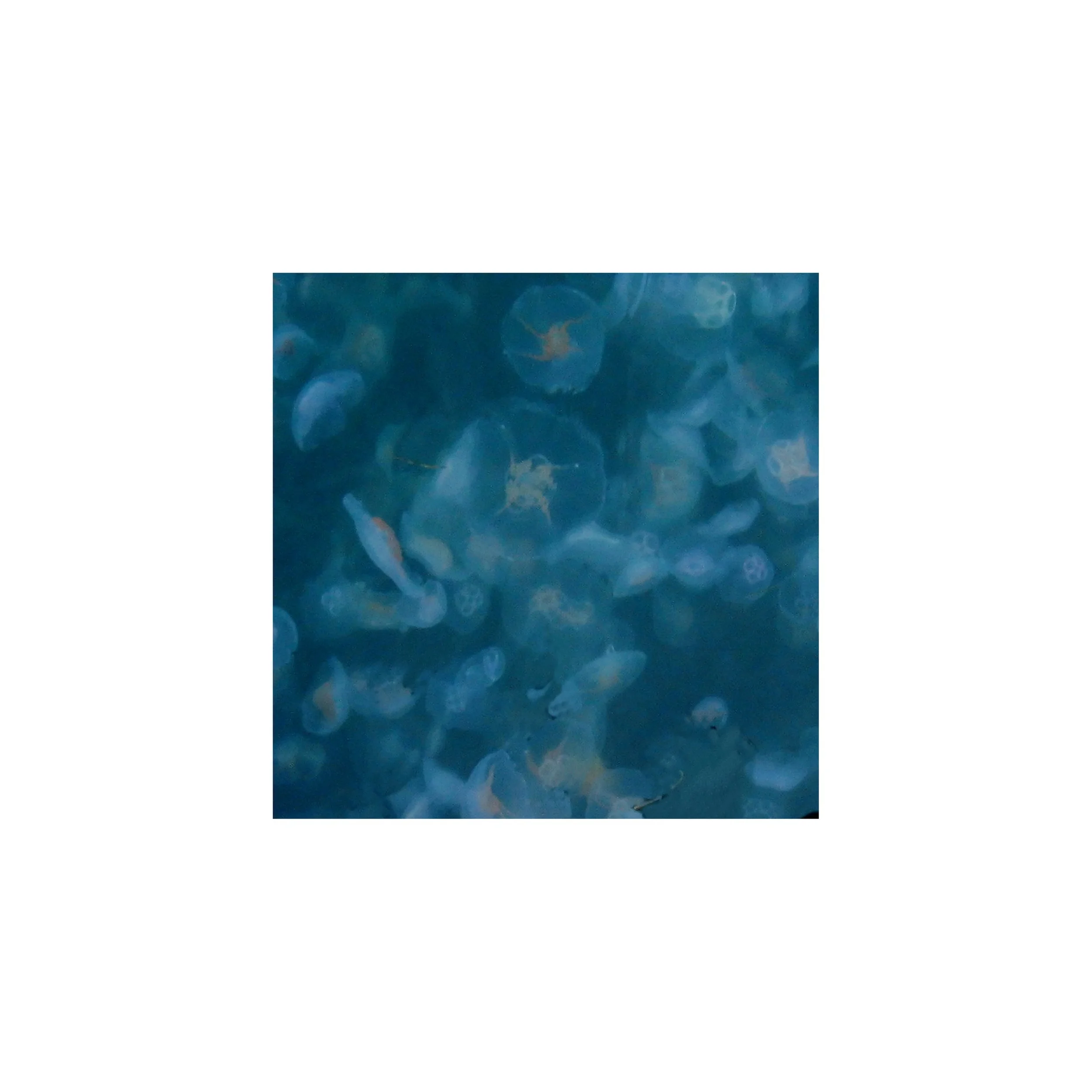 13x13_Vandmænd 1 ci.jpg