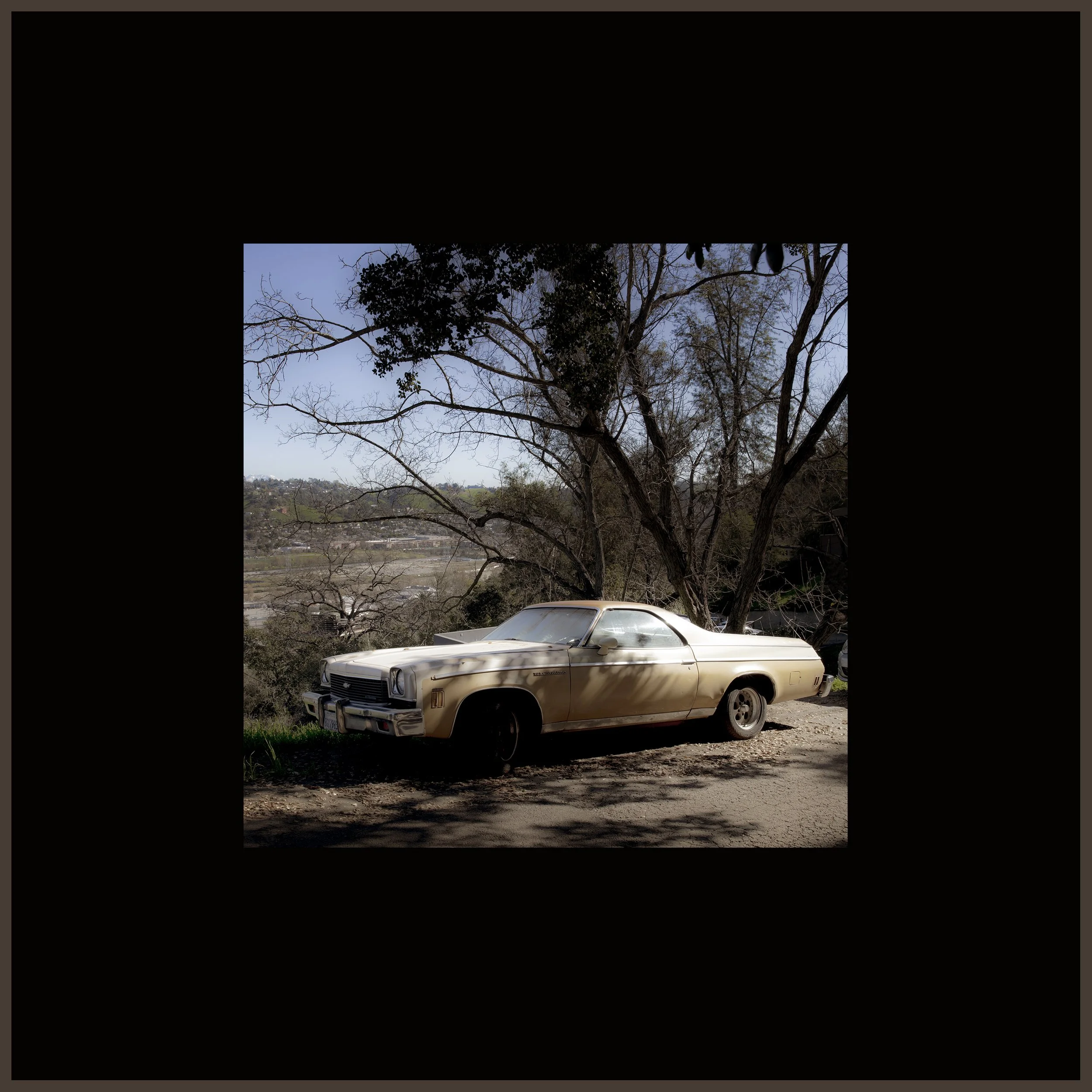 _R1A5339LA_13X13.jpg