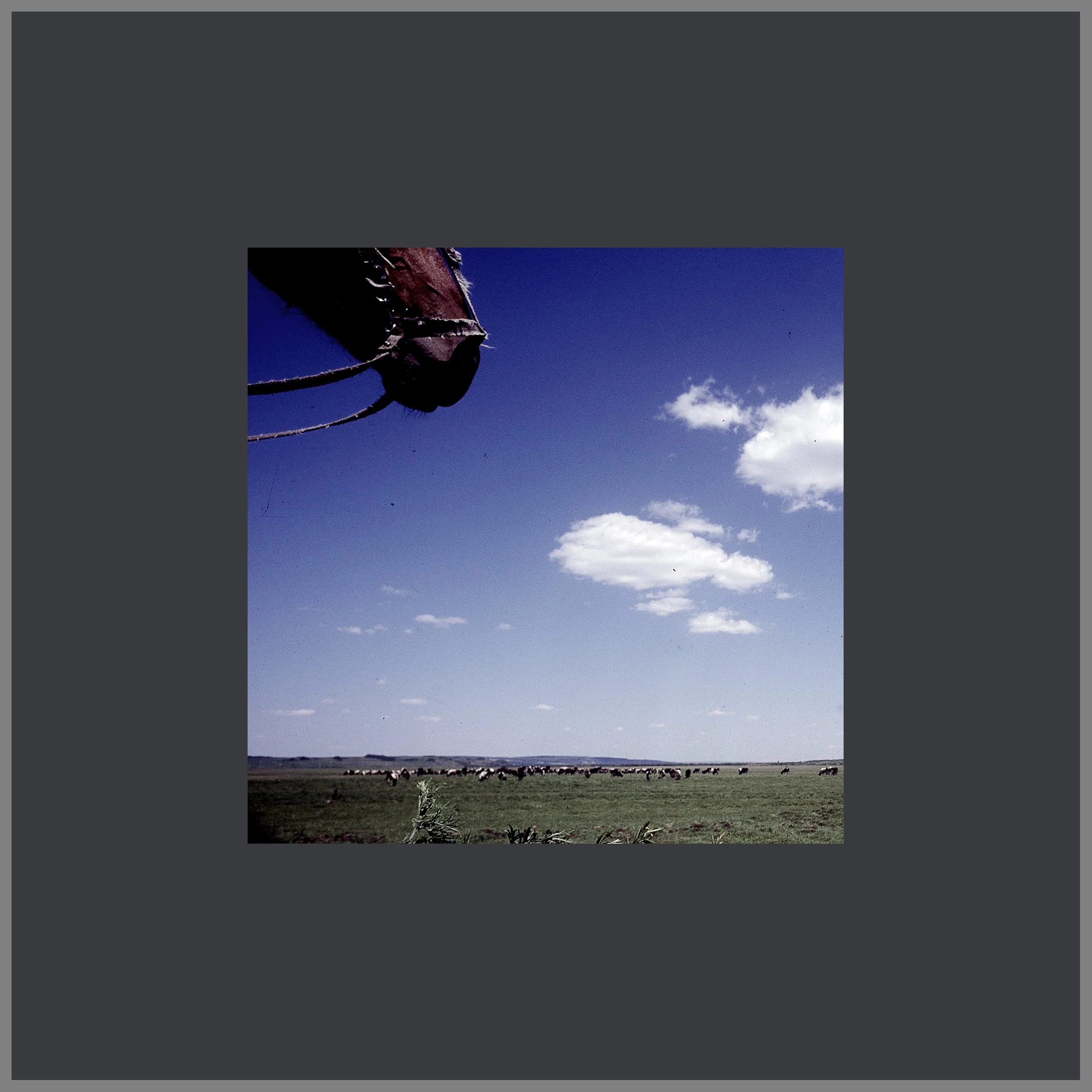 13x13_print_sibirien 011.jpg