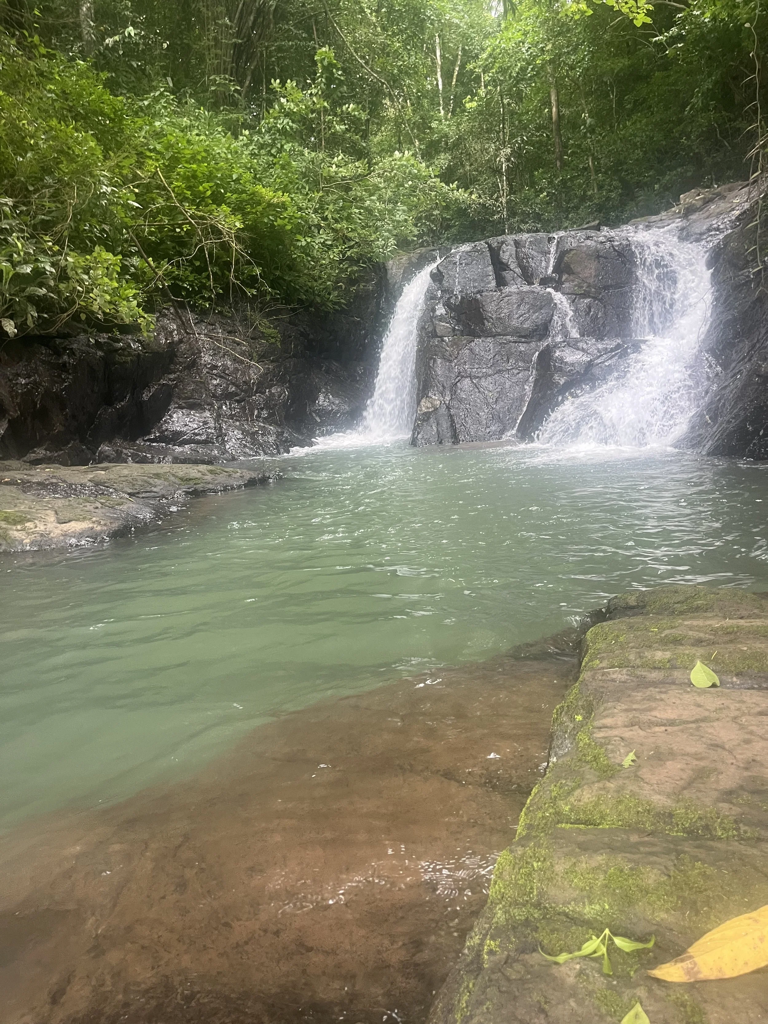 Small waterfall surrounded by lush green foliage and rocks, flowing into a clear pool of water.