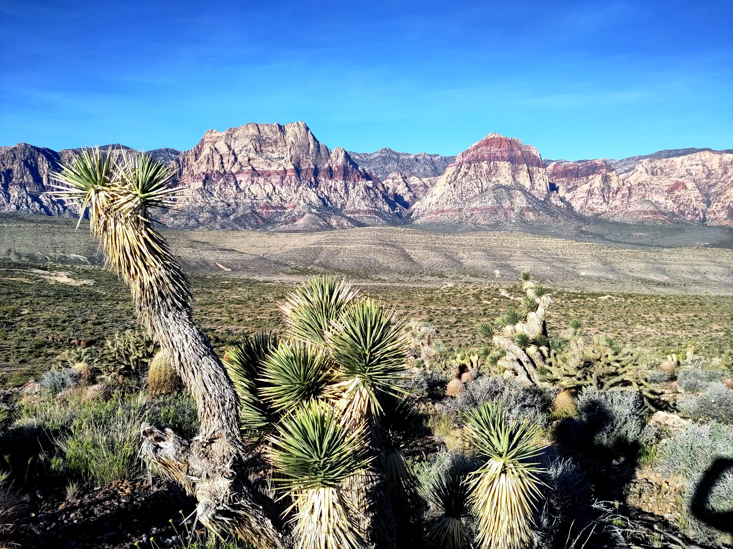 Top o’ the Morning: A St. Patrick’s Day Hike at Red Rock
