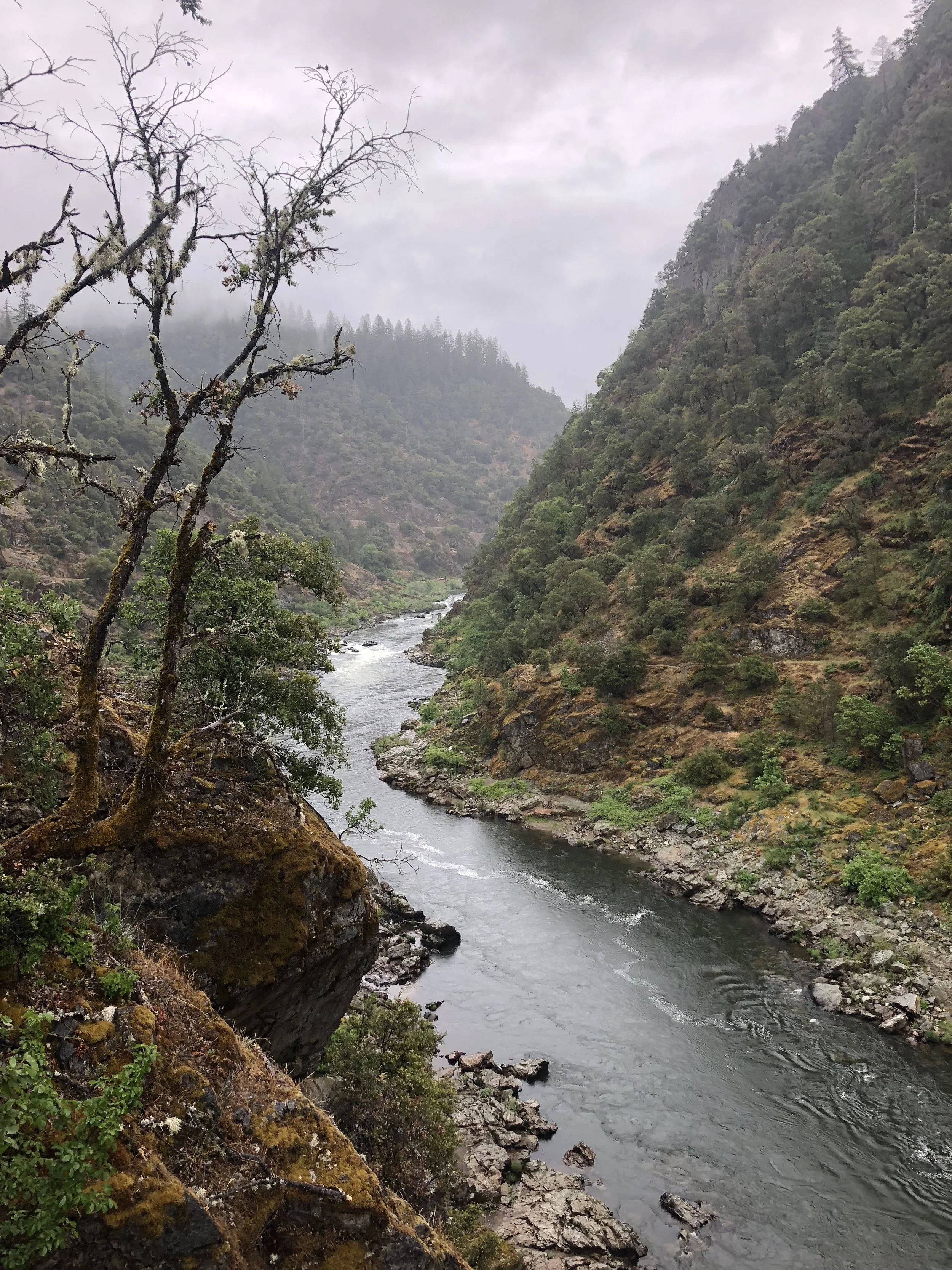 Along Oregon's Wild and Scenic Rogue River
