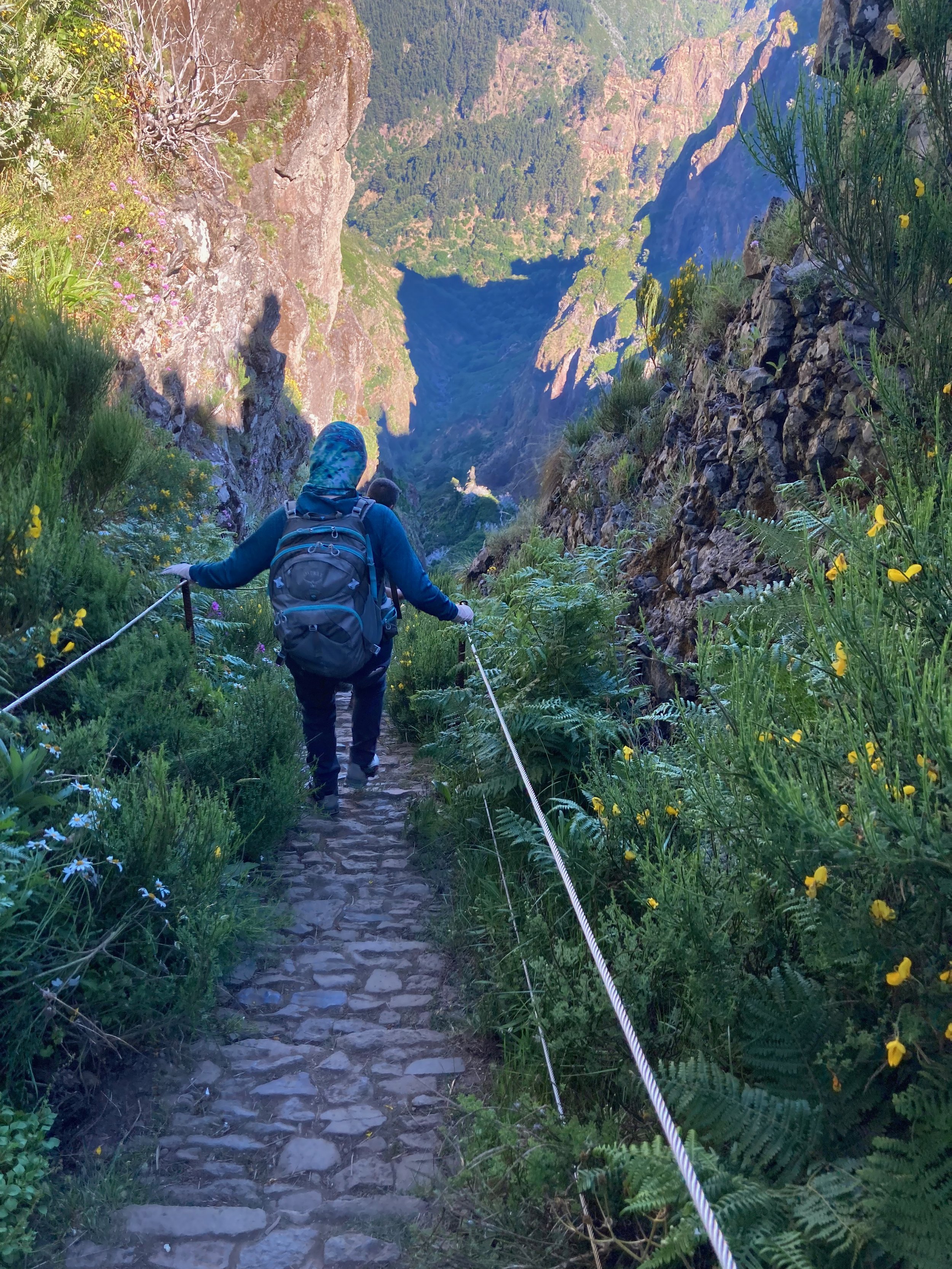 Hiker walking down a narrow path with lush greenery and steep cliffs in a mountainous area.
