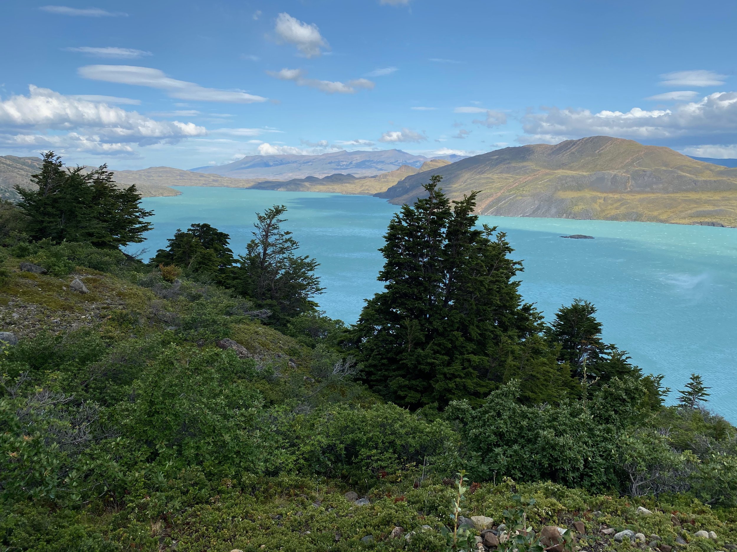 Scenic view of turquoise lake with lush green landscape and mountains under blue sky with clouds.