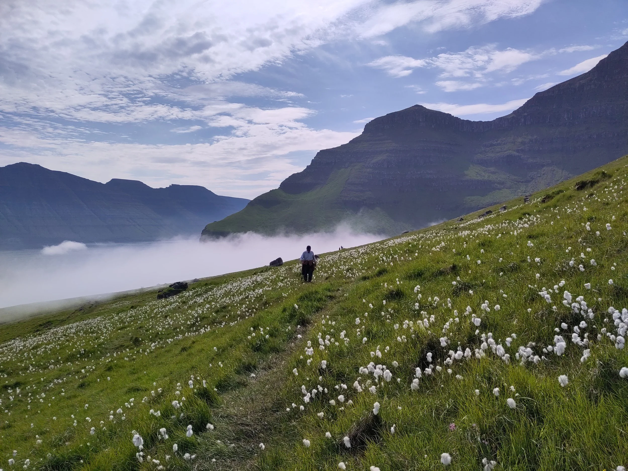 A person walking through a lush green meadow filled with white flowers, with mountains in the background and a blue sky with scattered clouds.