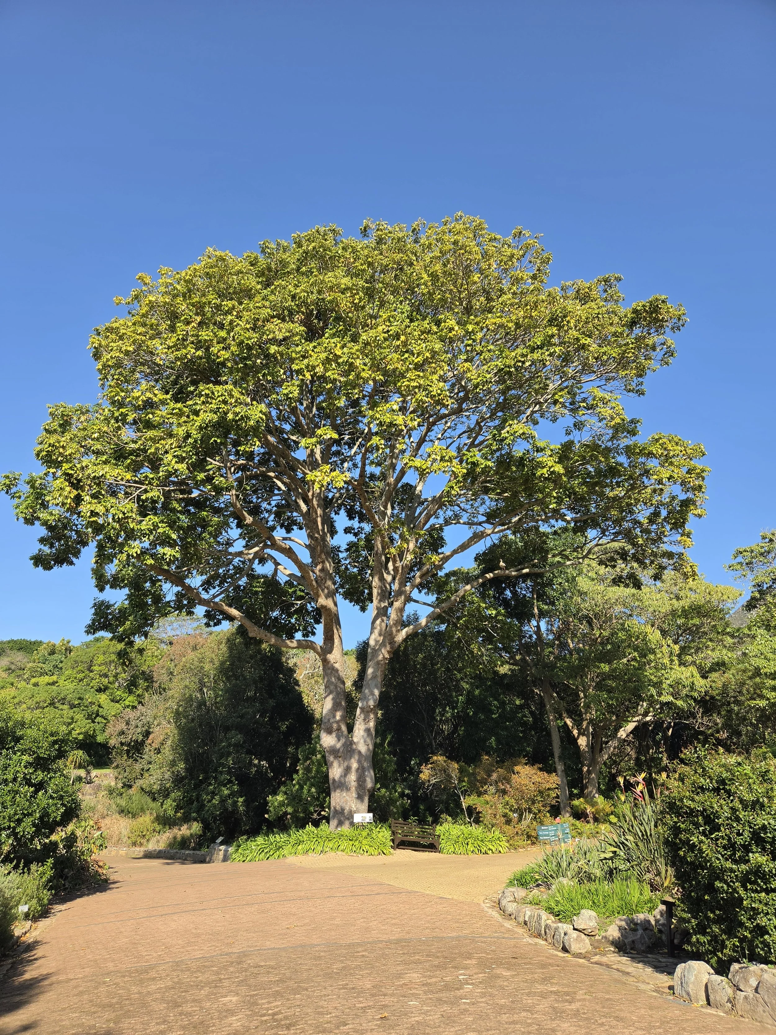 875.jpg