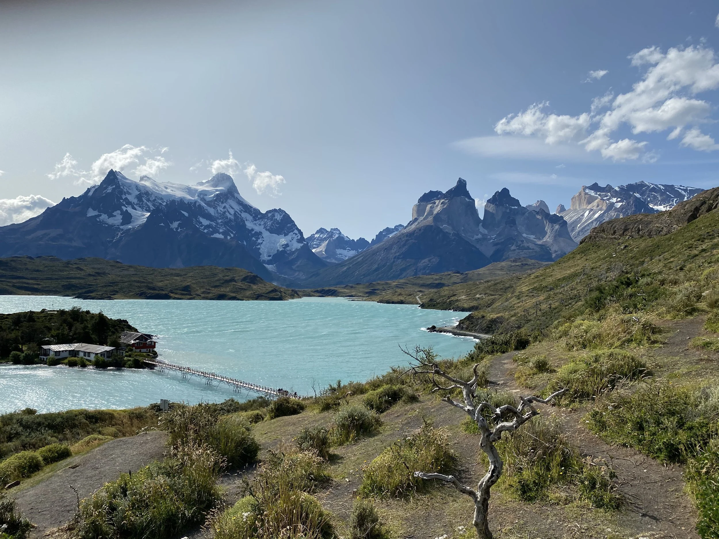 Scenic view of Torres del Paine National Park with turquoise lake, snowy mountains, and greenery.