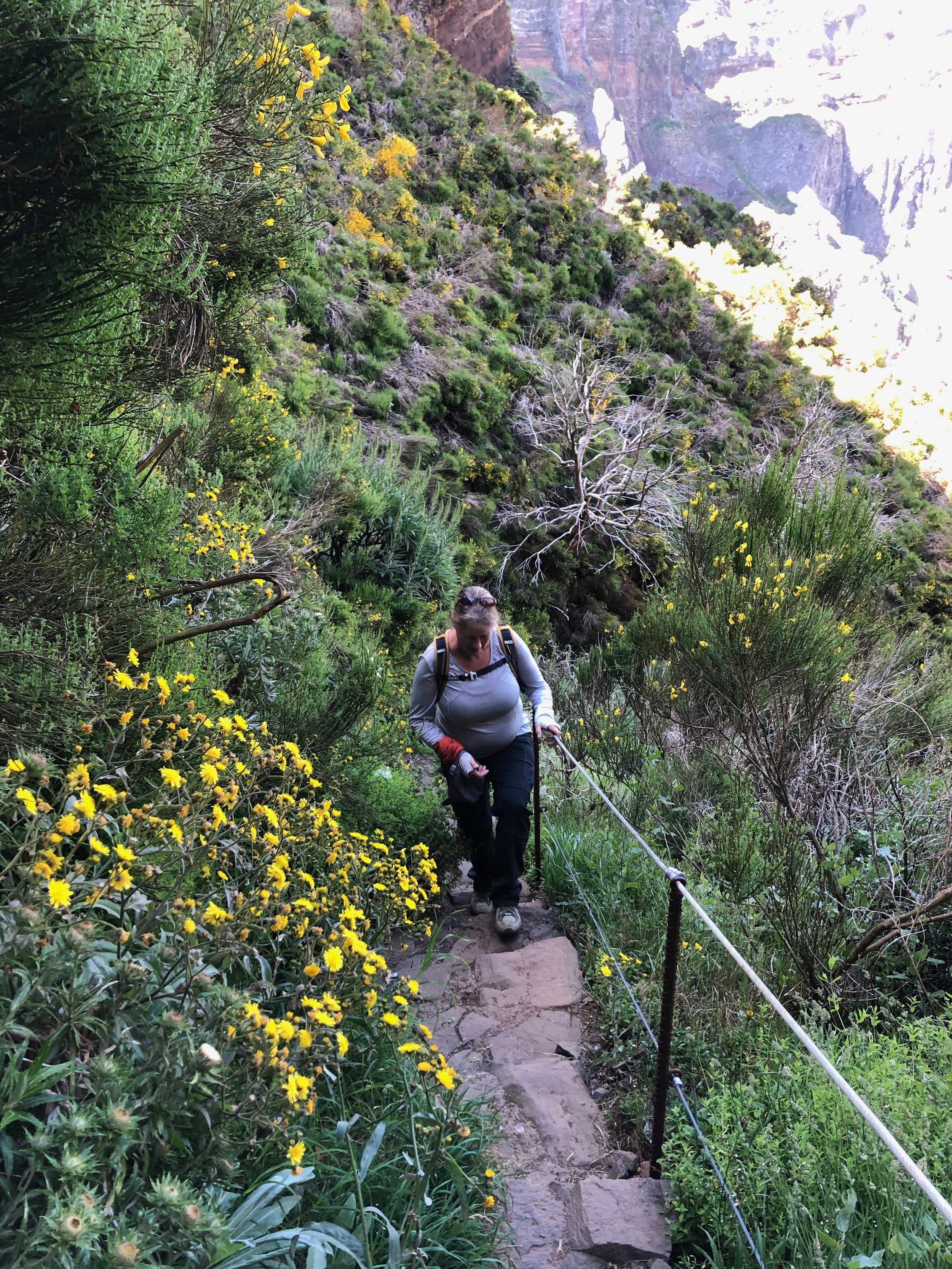 Hiker ascending a narrow, rocky trail surrounded by lush greenery and yellow flowers in a mountainous landscape.
