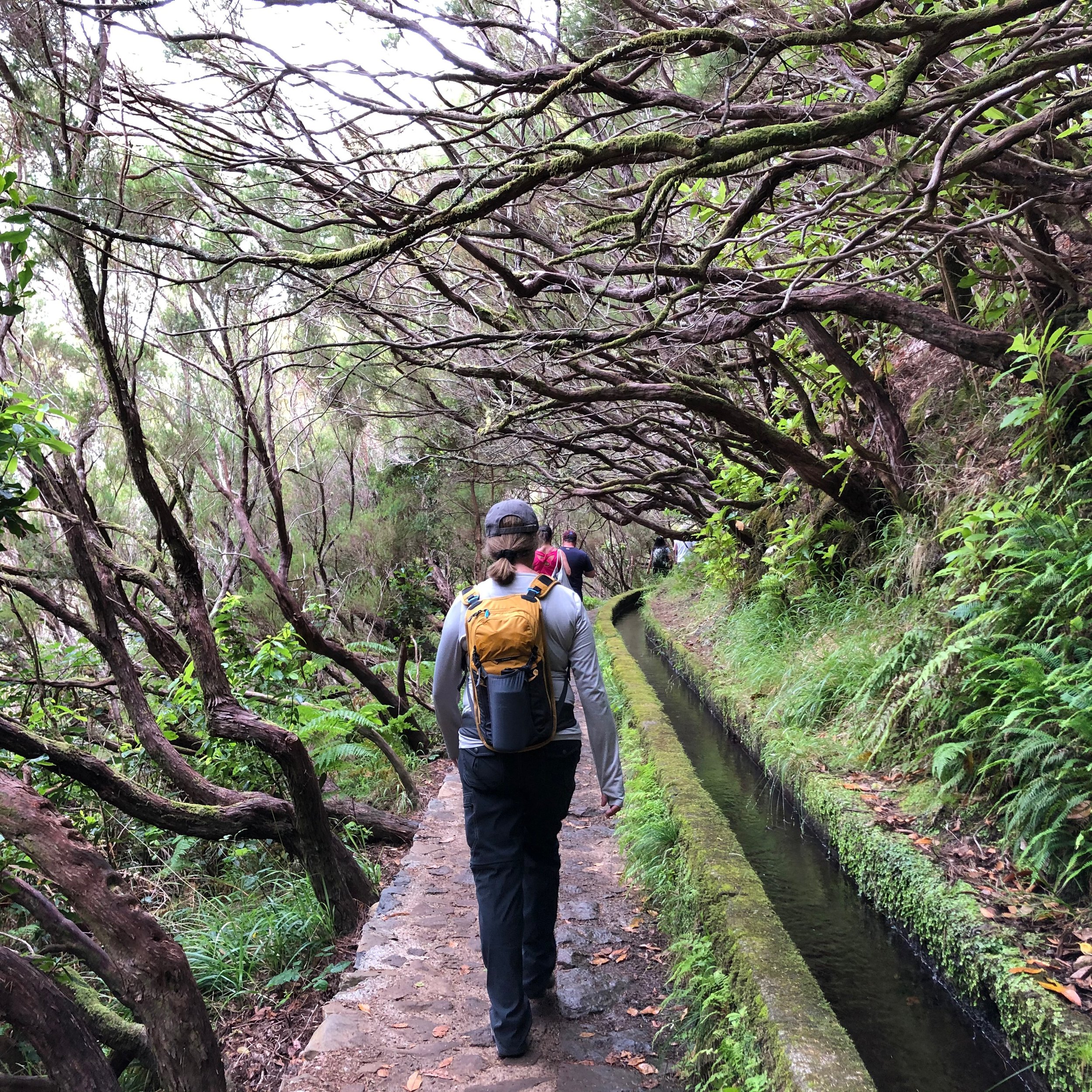Hiker walking along a forest path with a small canal