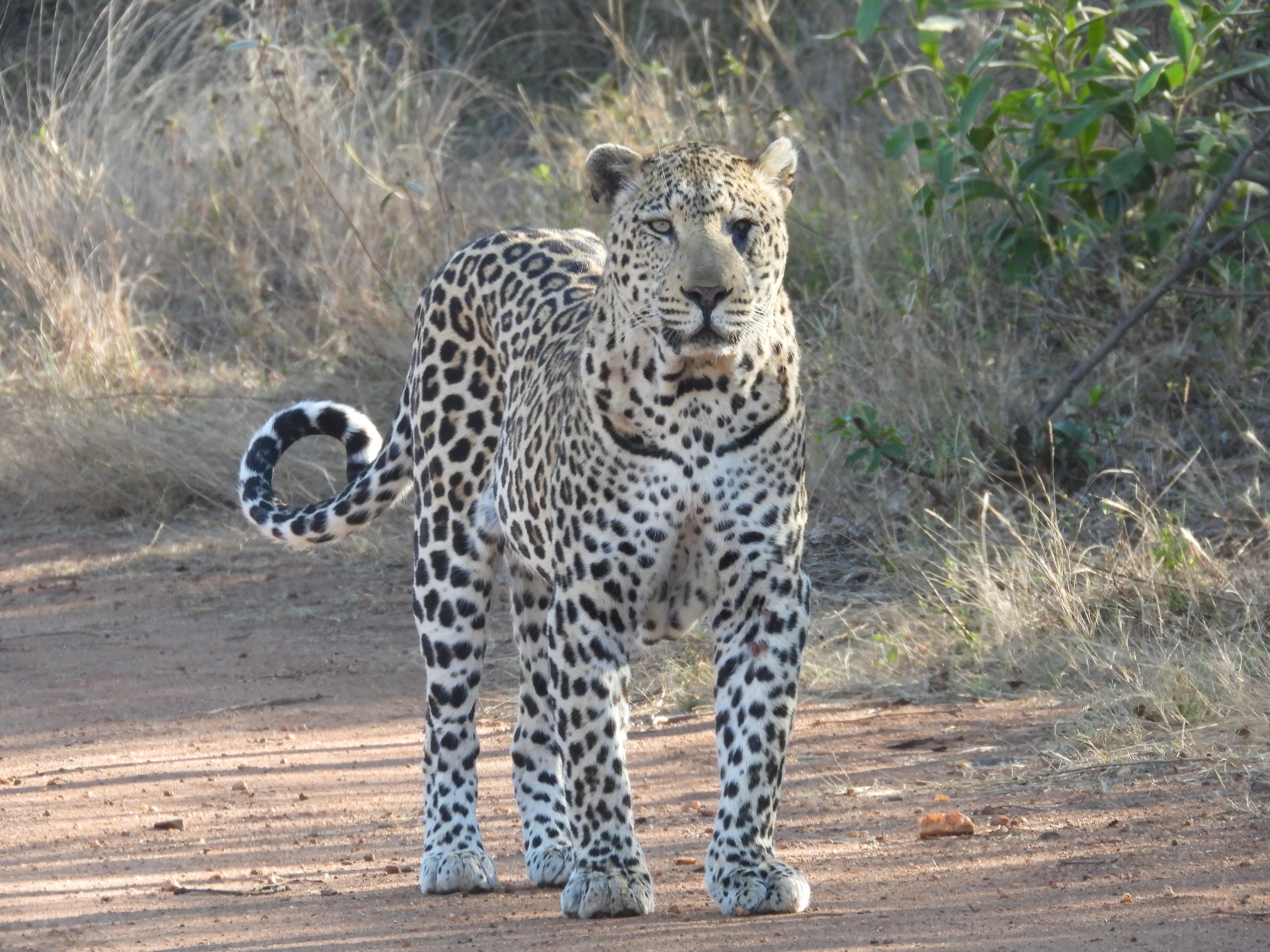 DSCN0506.JPG