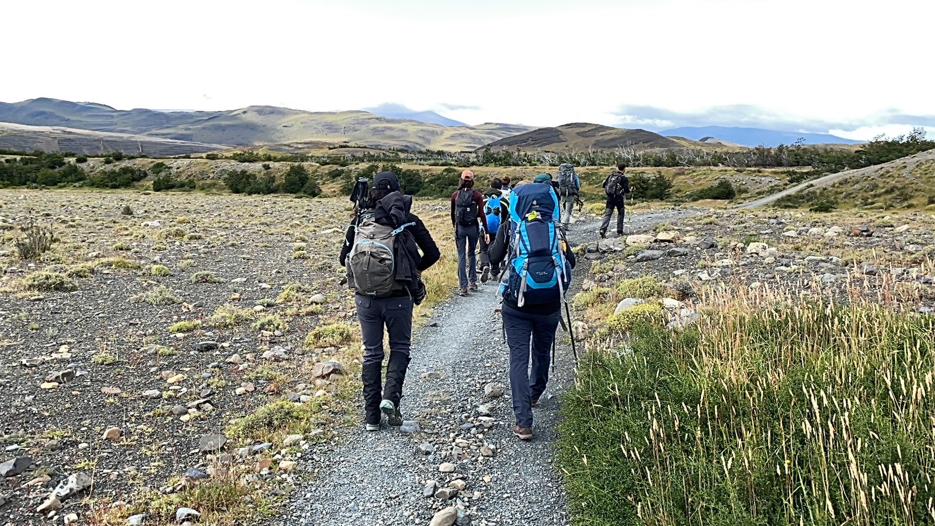 A group of hikers walking on a rocky path surrounded by grassy fields and hills in a natural landscape.