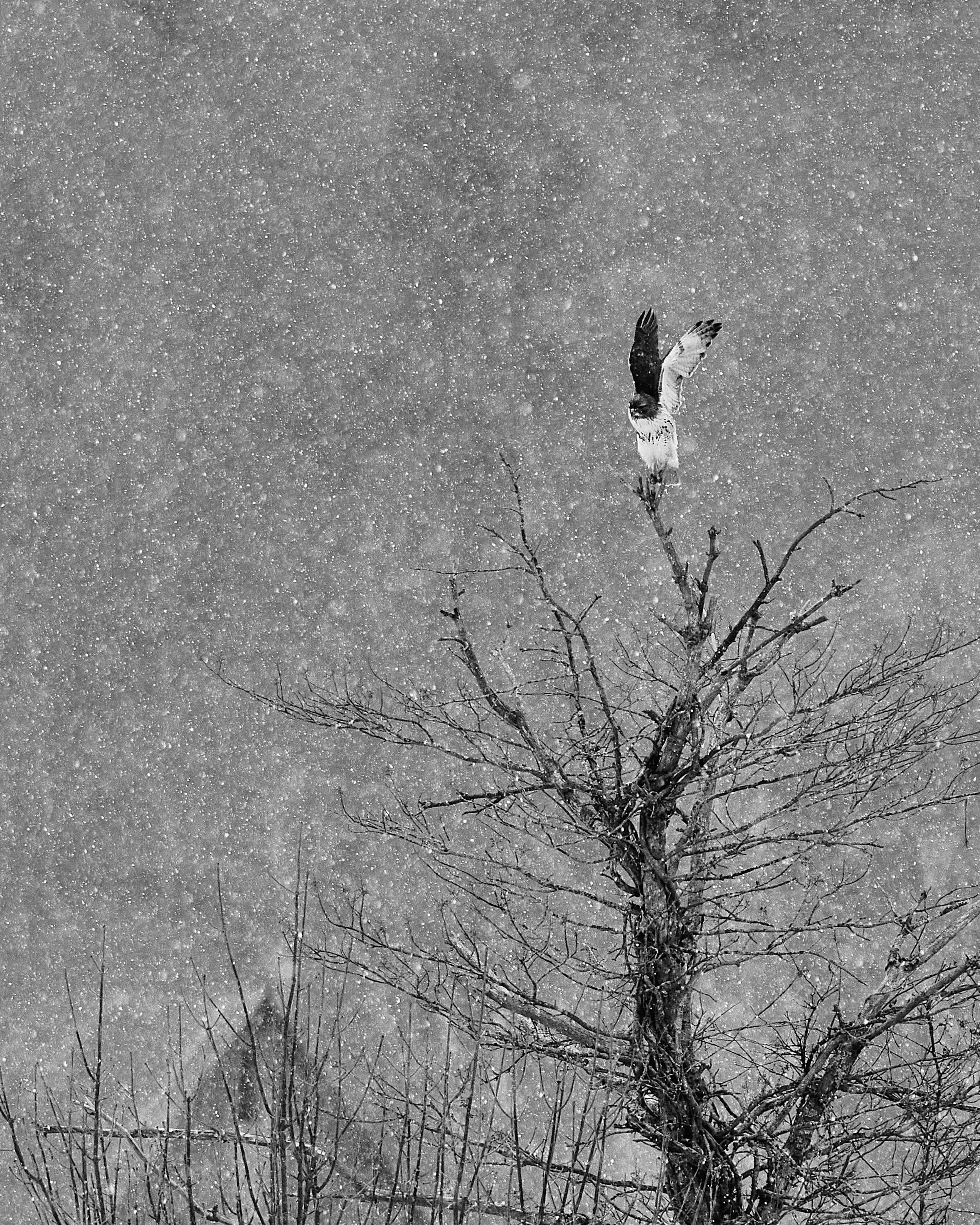 26_3_CATSKILLS 51 copy.jpg