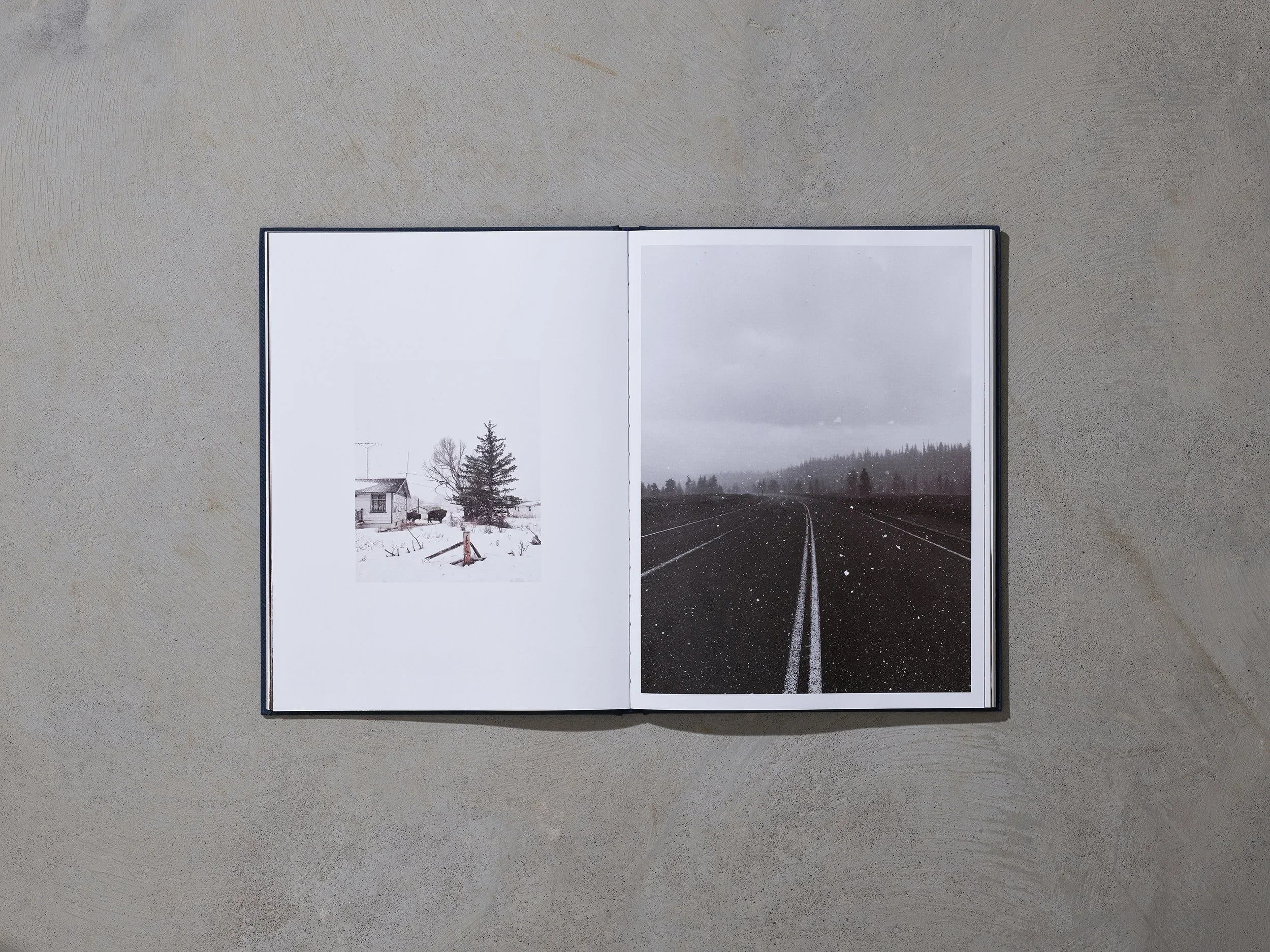 Forever+West+Book66824.webp
