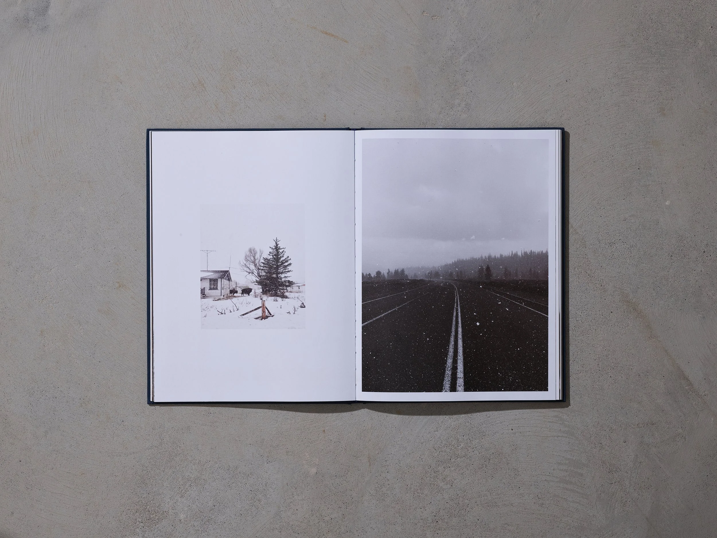 Forever West Book66824.jpg
