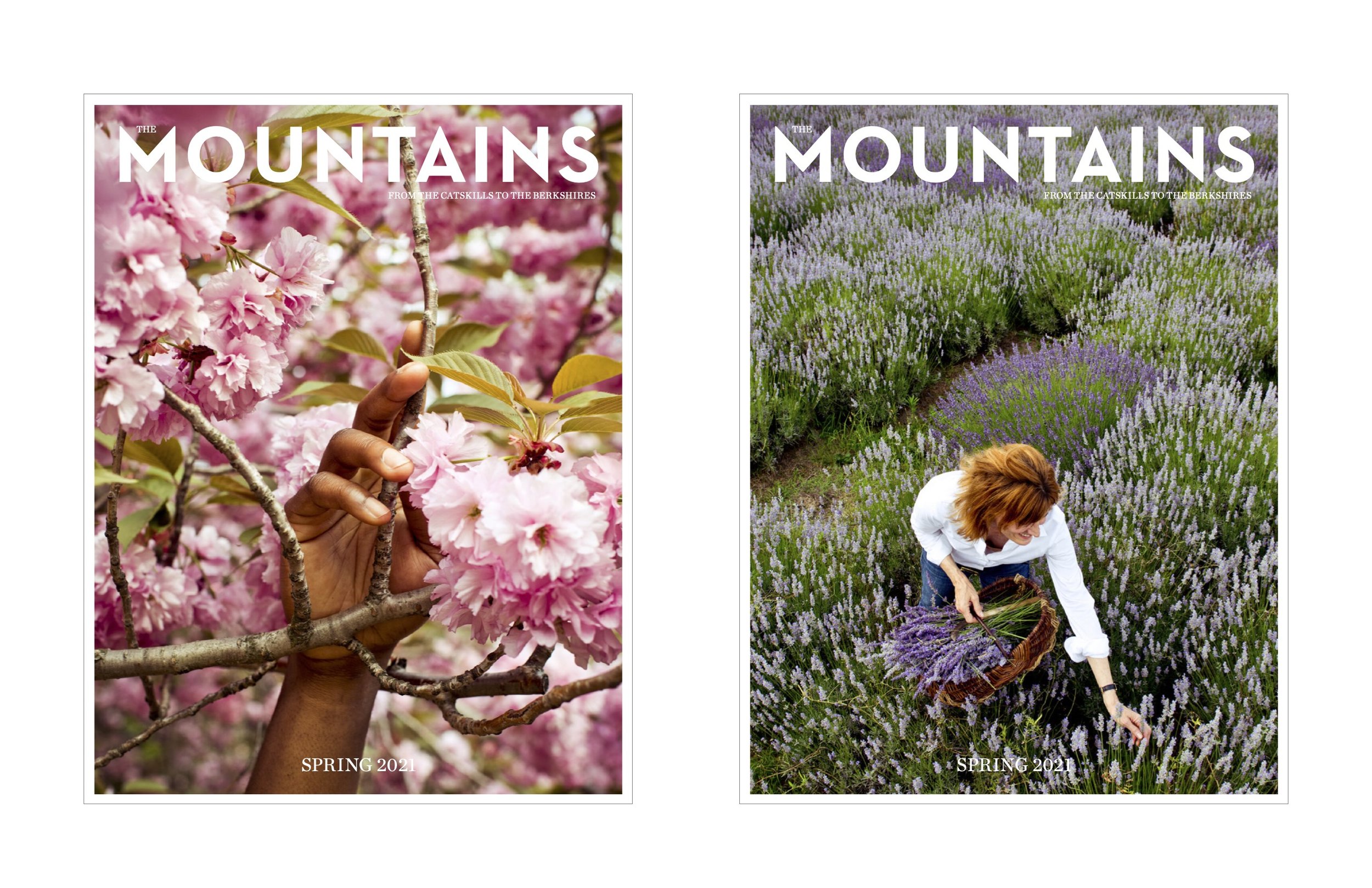 21_5_The_Mountains_sketches3.jpg