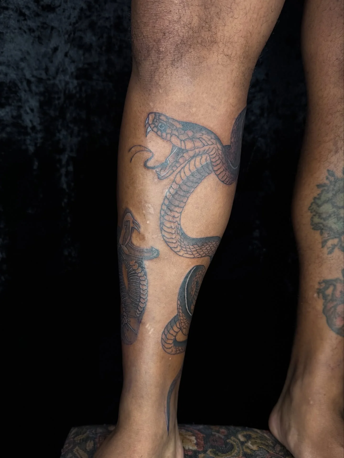 such a cool tattoo and design, but always so hard to get pics and videos of these placements 🤣 love how these snakes came out, especially our xray style one! 

Thanks for looking 🫶
Likes and Shares are appreciated 🖤

#ink #tattoos #femaletattooart