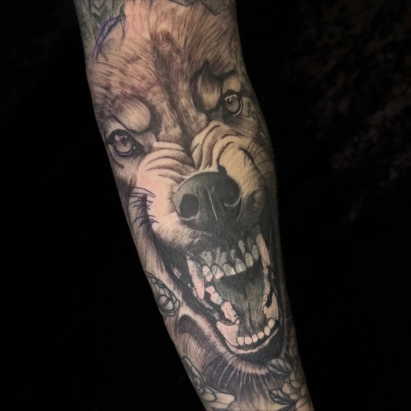 had such a blast getting to make this wolf come to life. We had cover up in there so once it settles we will go back through with another layer. Cover ups can sometimes take multiple sessions to layer just right, but in the end, we always get it done