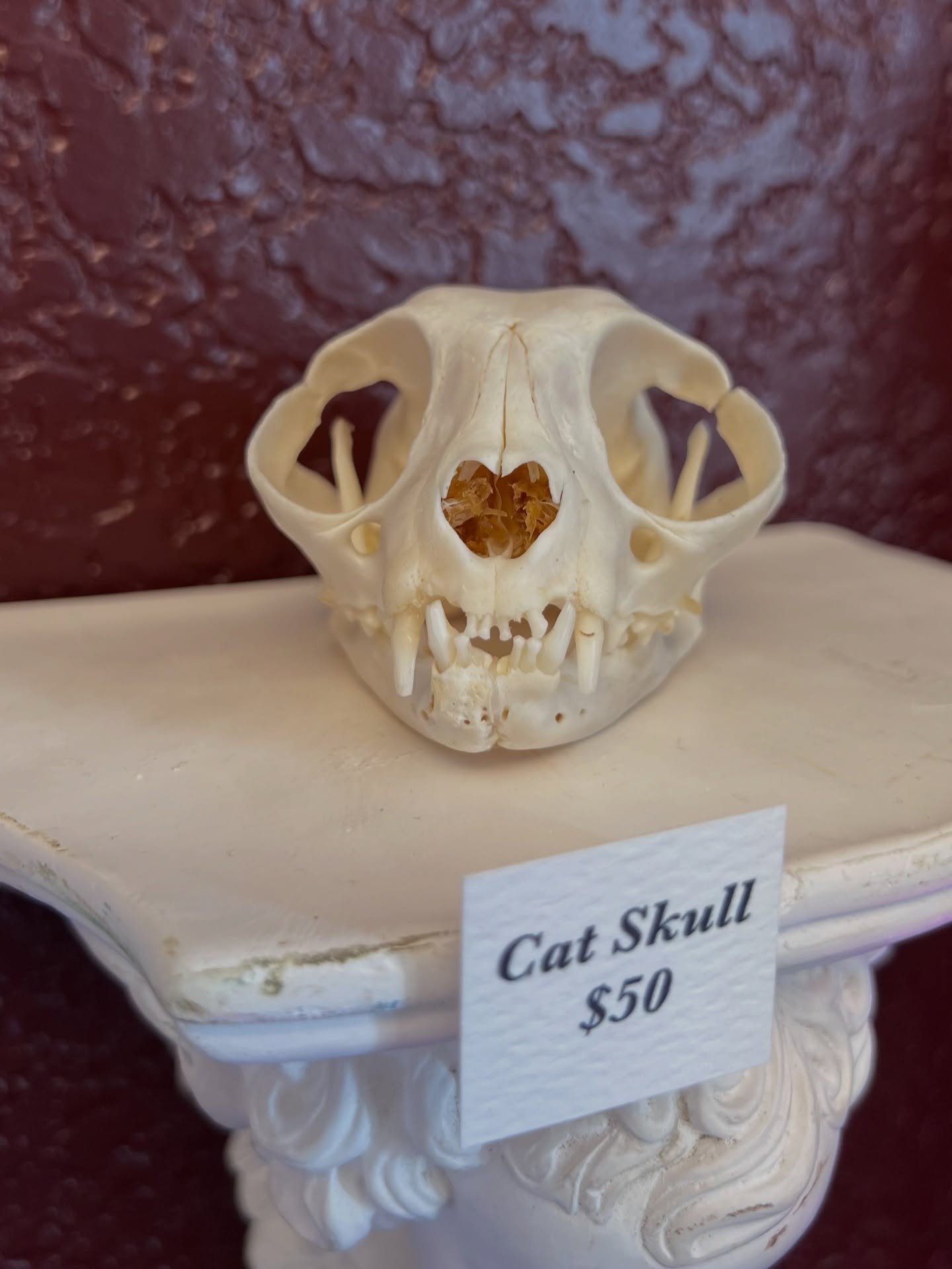 Needing to shop for some last minute gifts: Look no further!!! Fallen Desires Oddities shop as you covered from stocking stuffers to beautiful wall art and so much more! 
Stop by Mondays - Saturdays from 12-4pm &amp; check out all the goodies we have