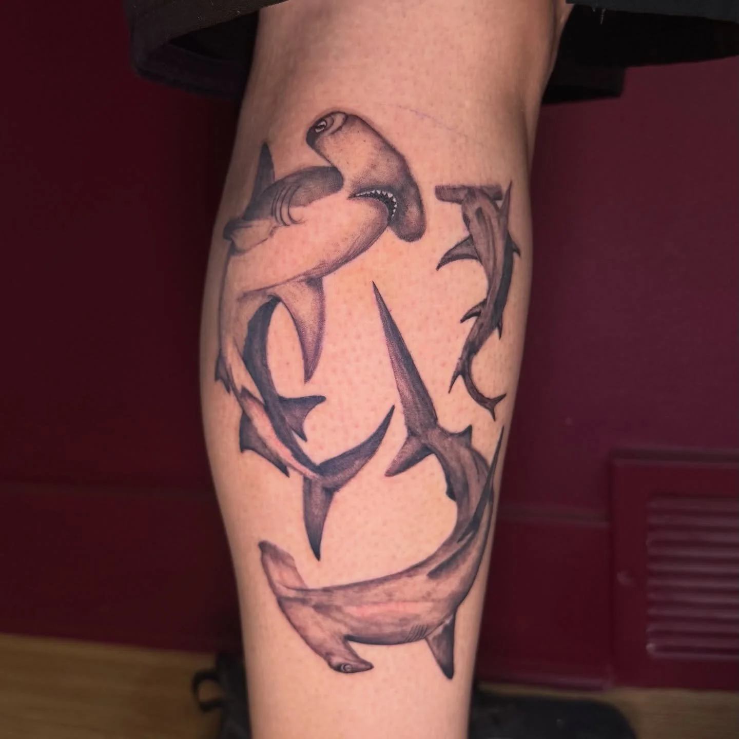 GIMME ALL THE SHARKS
I loved getting to create and do this piece!! 

Booking for June

Thanks for looking 🫶
Likes and Shares are appreciated 🖤

#tattoos #femaletattooartist #coloradotattooartist #lovelandtattoo #sharktattoo