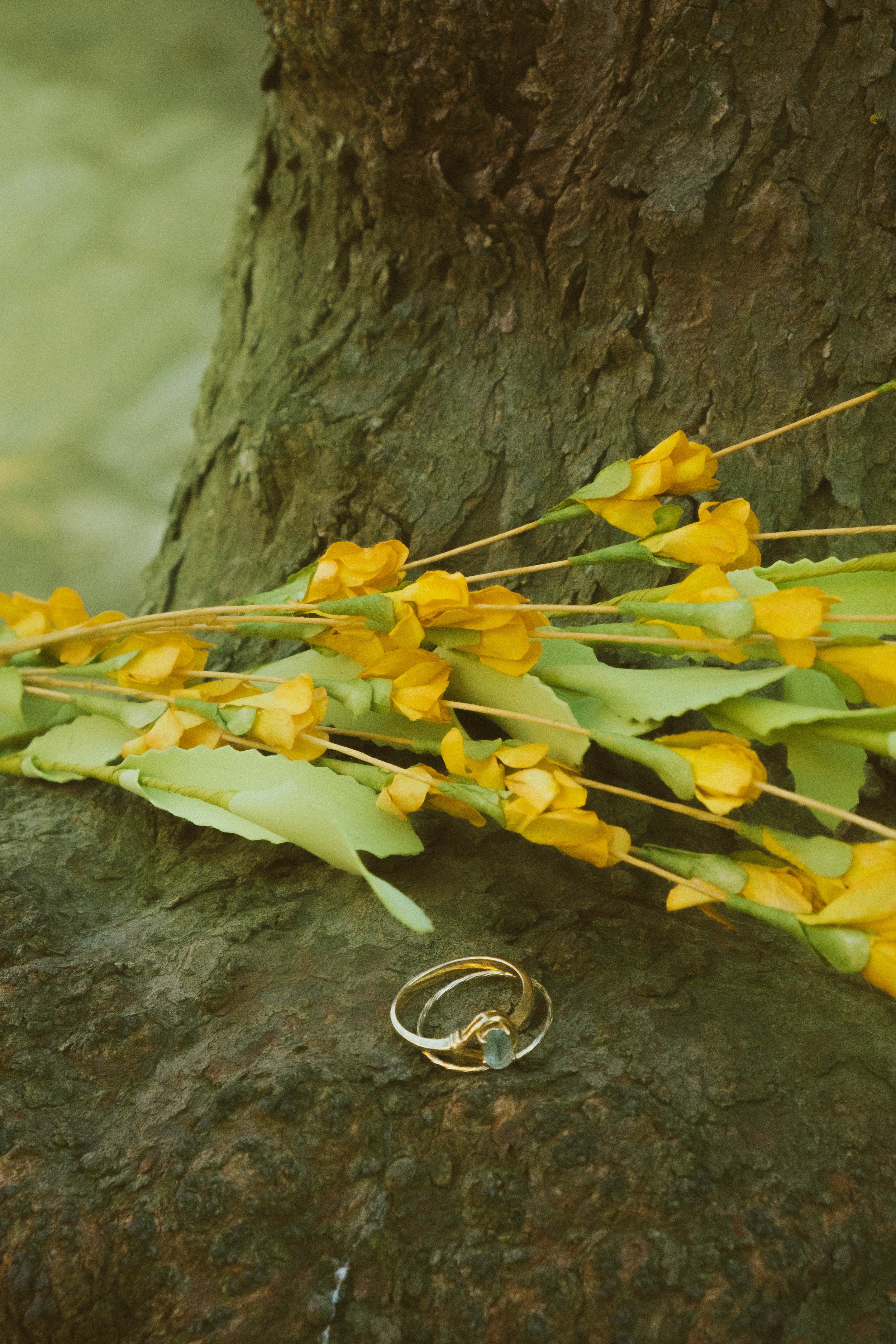 Ring48.jpg