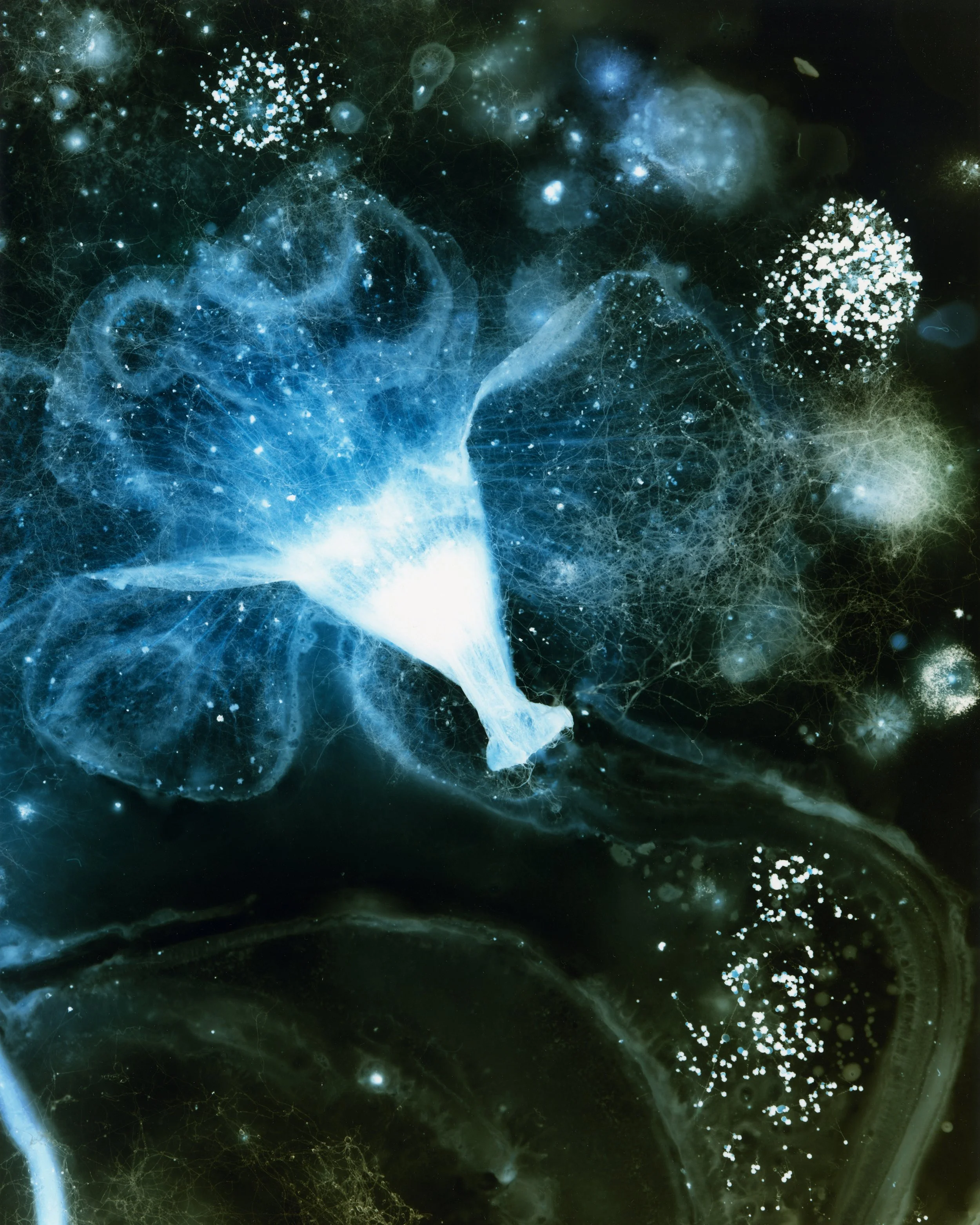 Constantin Schlachter