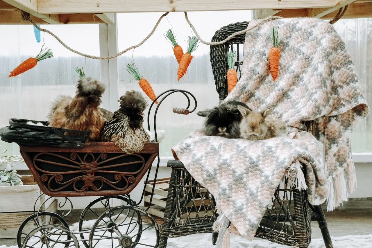 A decorative scene with artificial carrots hanging from a string, a vintage toy stroller with fluffy chicken toys inside, and a black and white rabbit and a light-colored rabbit resting on a blanket-covered wicker chair.