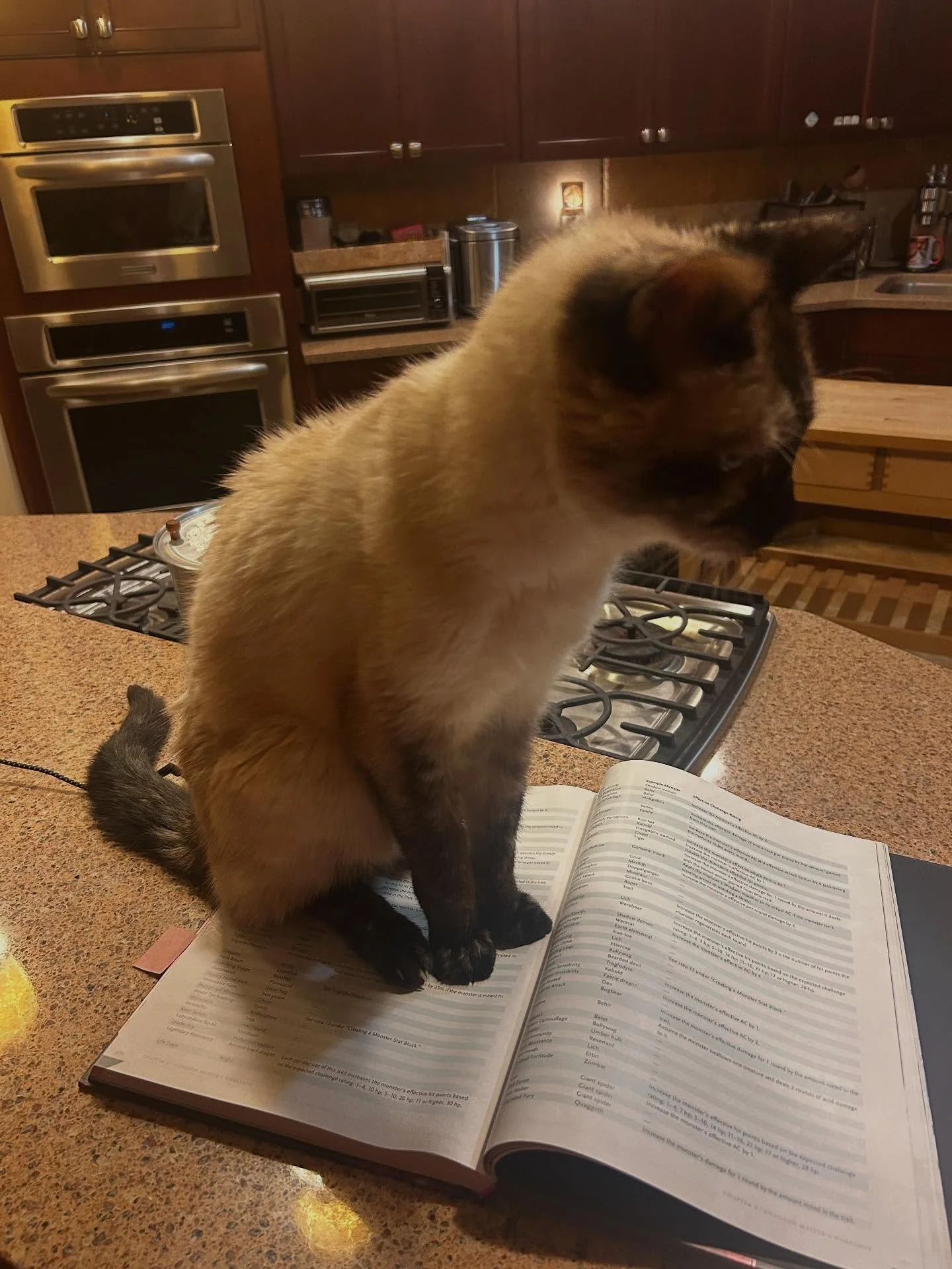Having someone look over your work is always a great idea. Dinah is pretty restrictive on what she wants and how she wants it. I have no creative freedom anymore. Meow meow meow meow meow meow meow meow meow. #laughsandloot #dnd #tabletoprpg #fallout