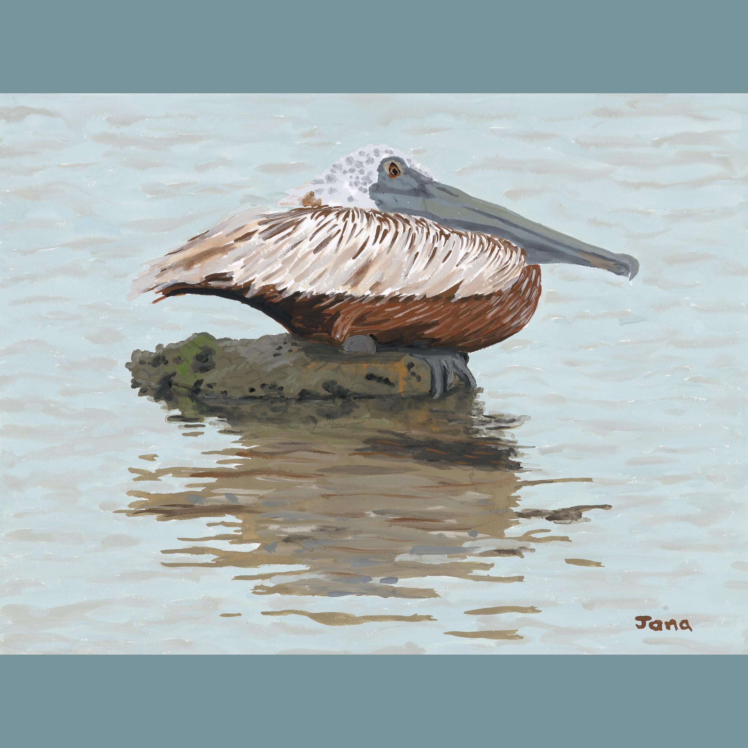 Pelican Chillin