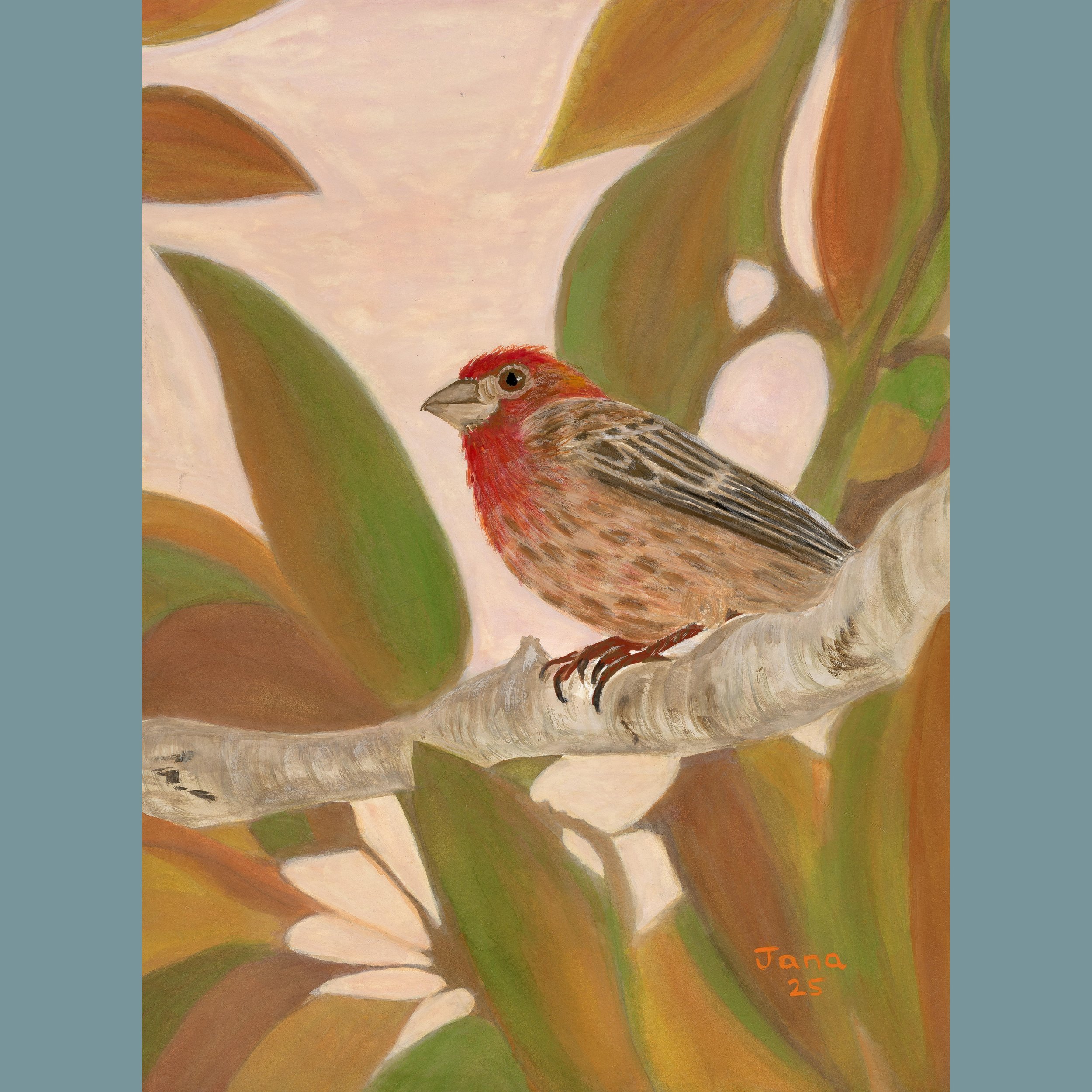 Autumn Finch
