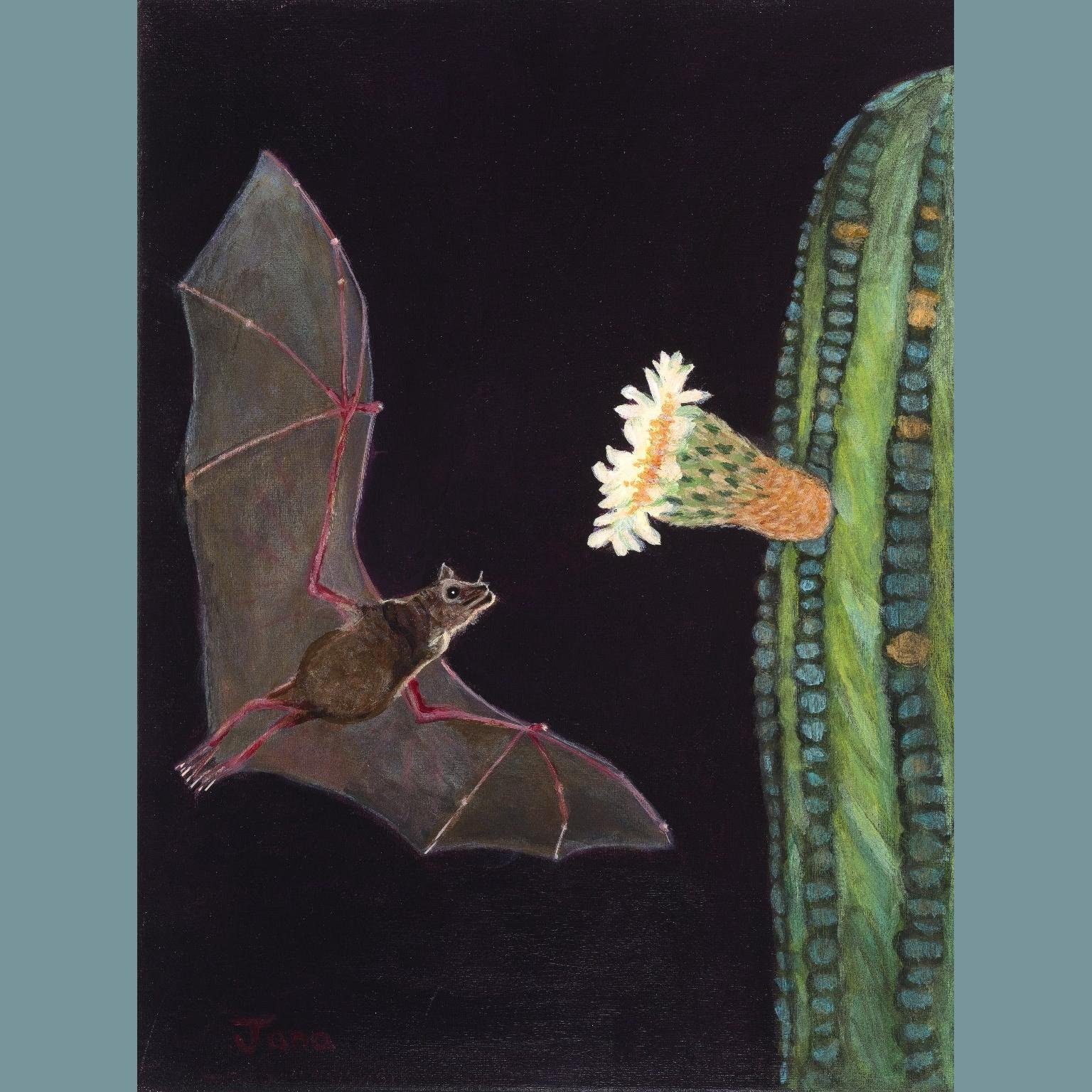Bat’s n’ Blooms