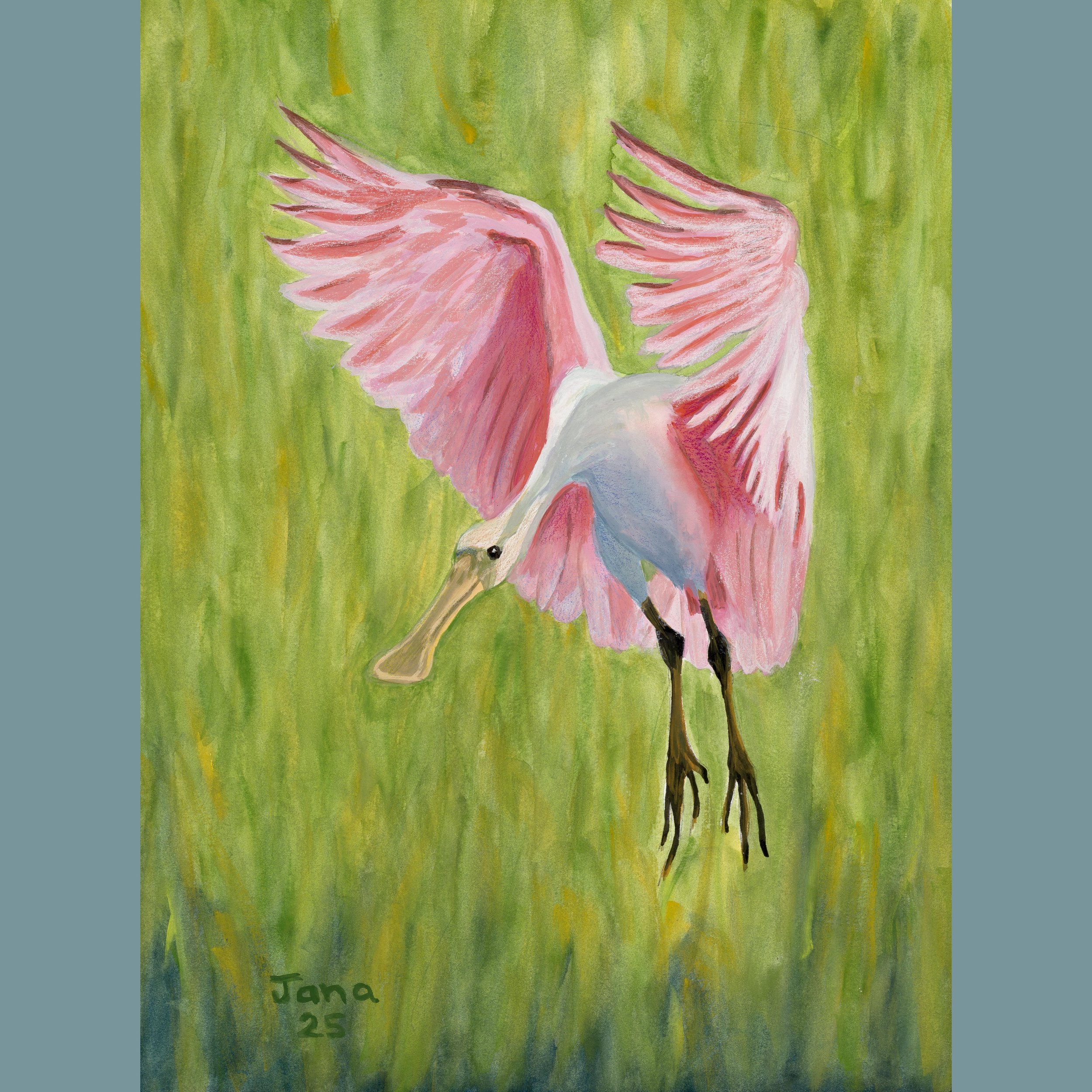 Spoonbill Landing