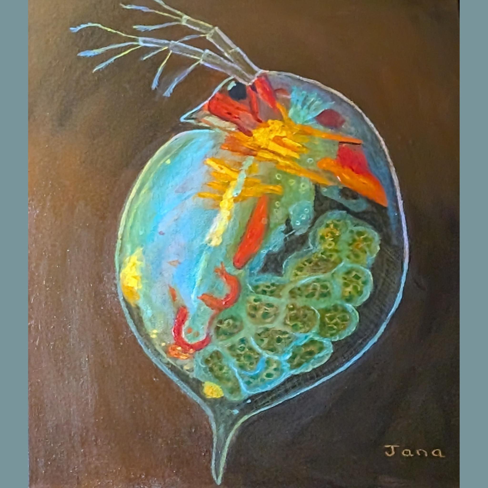 Pregnant Plankton
