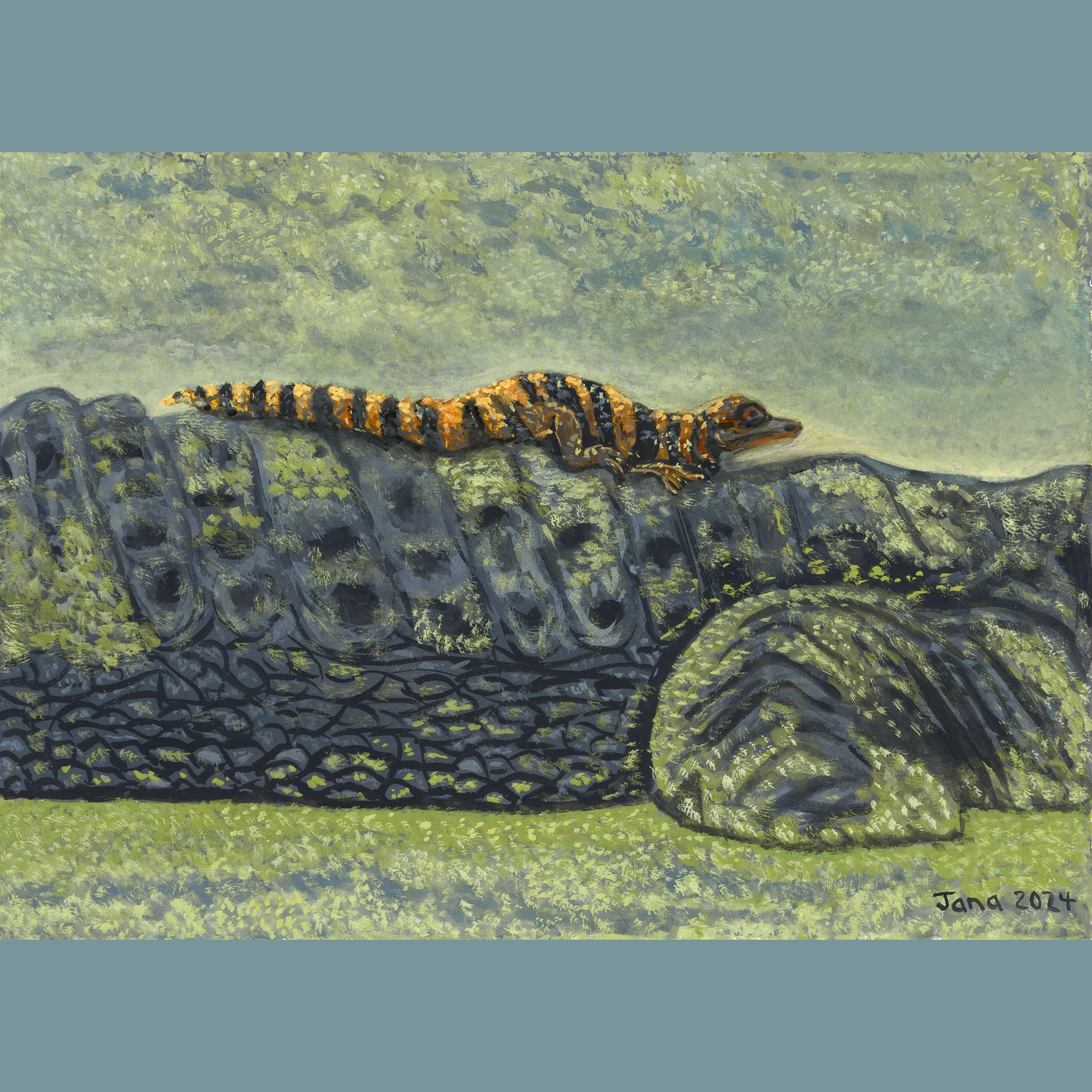 Baby Back Gator