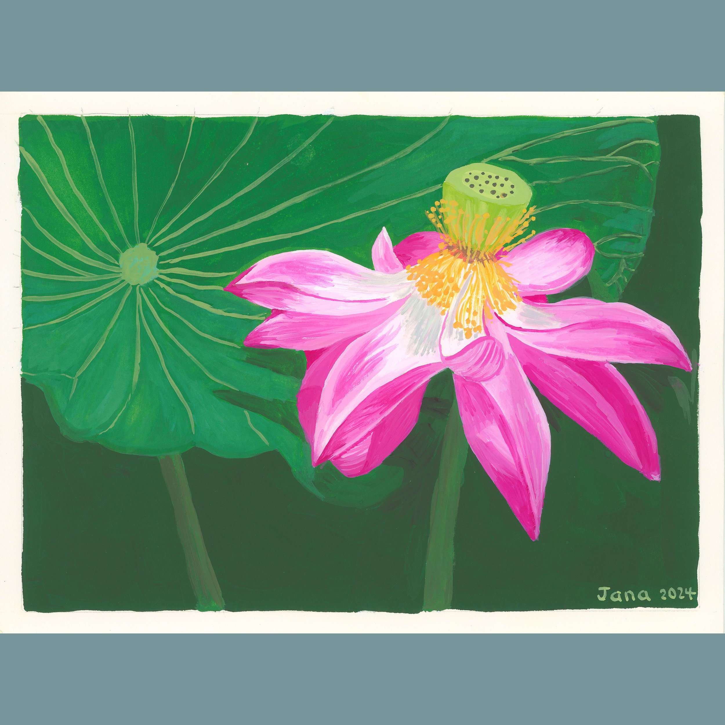 Pink Lotus