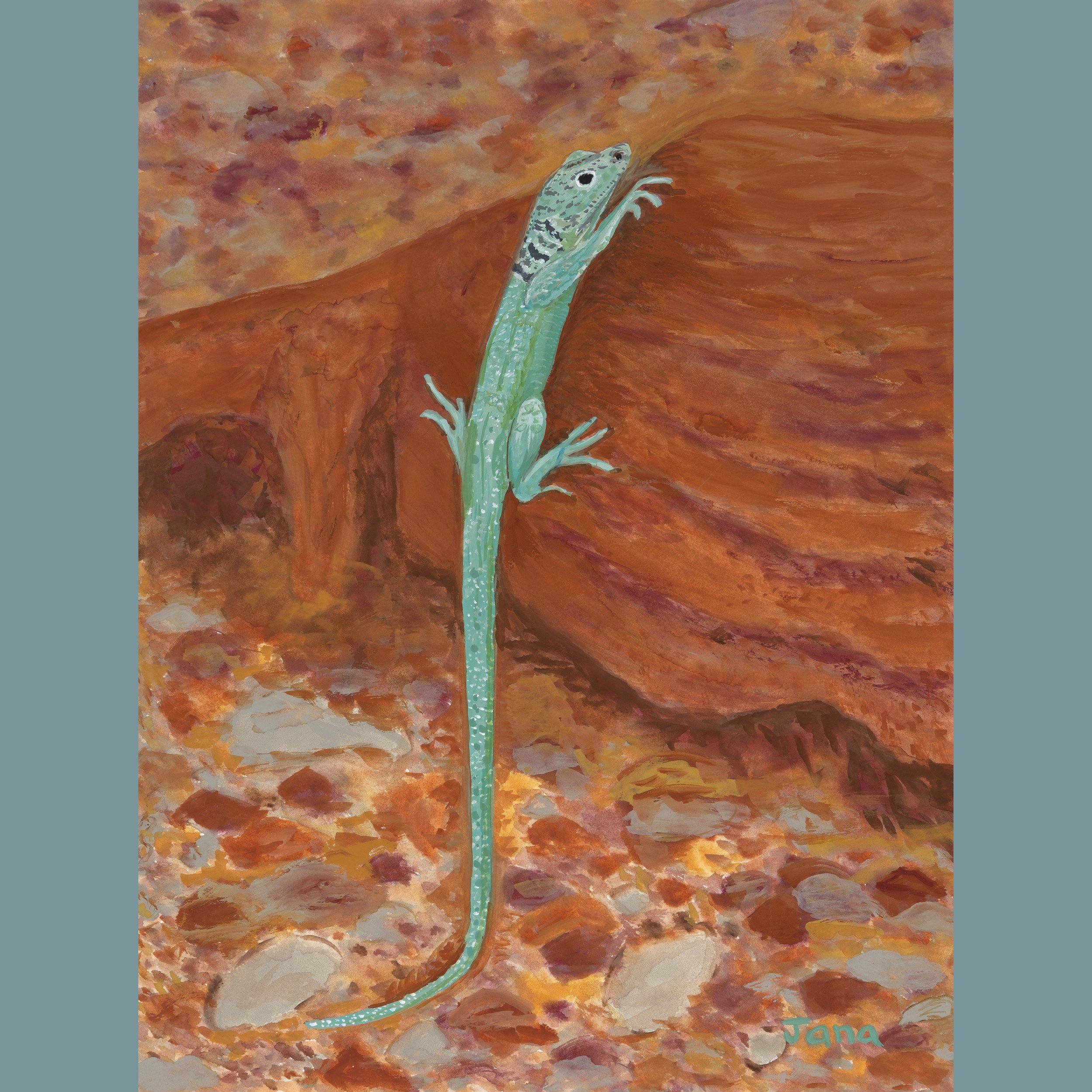 Desert Turquoise