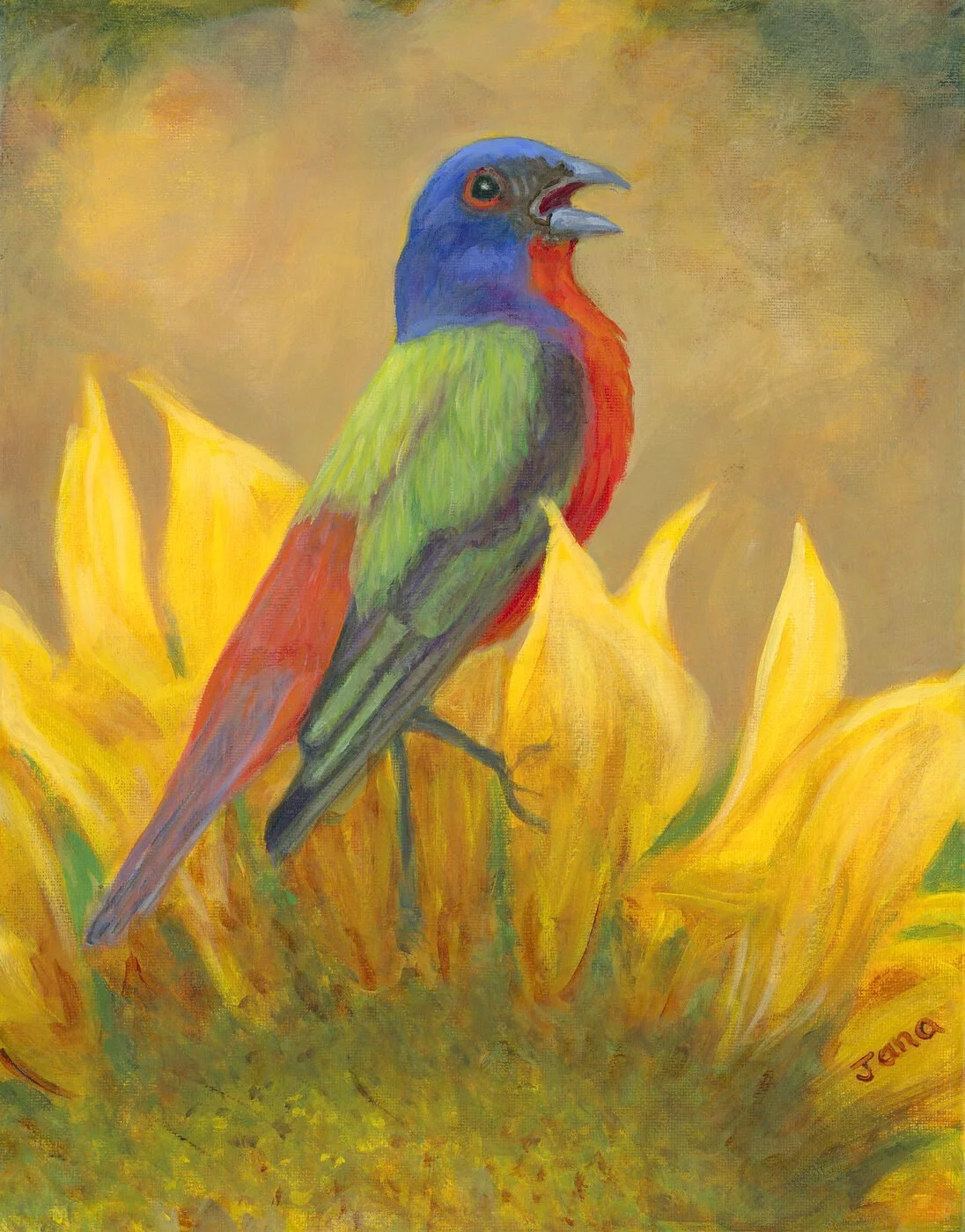 paintedbunting_web.jpg